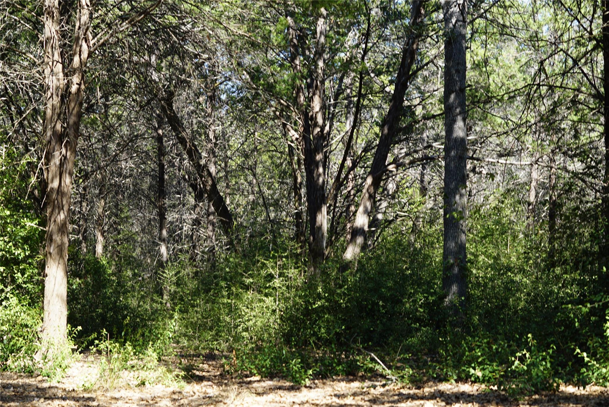 1135 Private Road 7039, Lexington, TX 78947