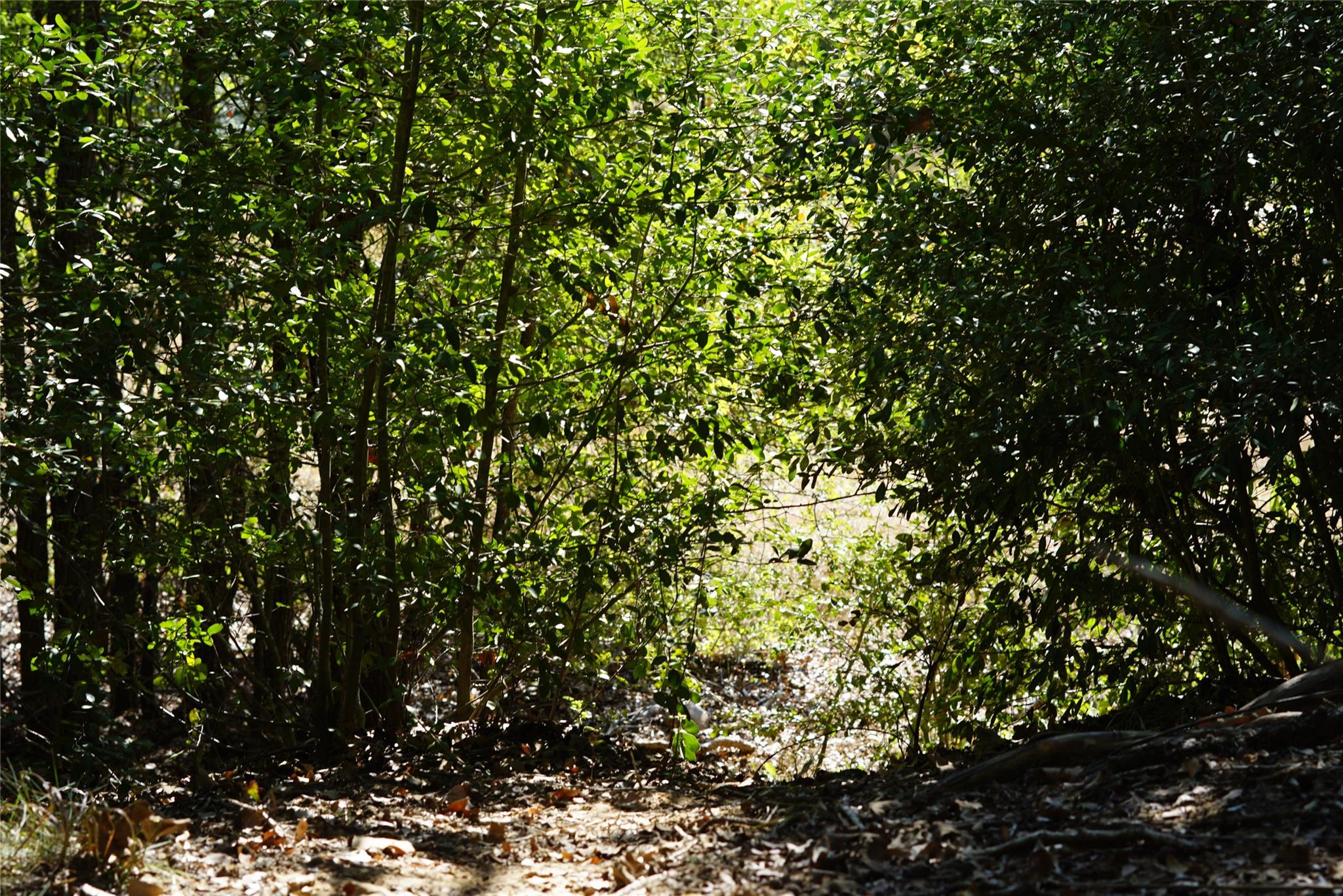 1135 Private Road 7039, Lexington, TX 78947