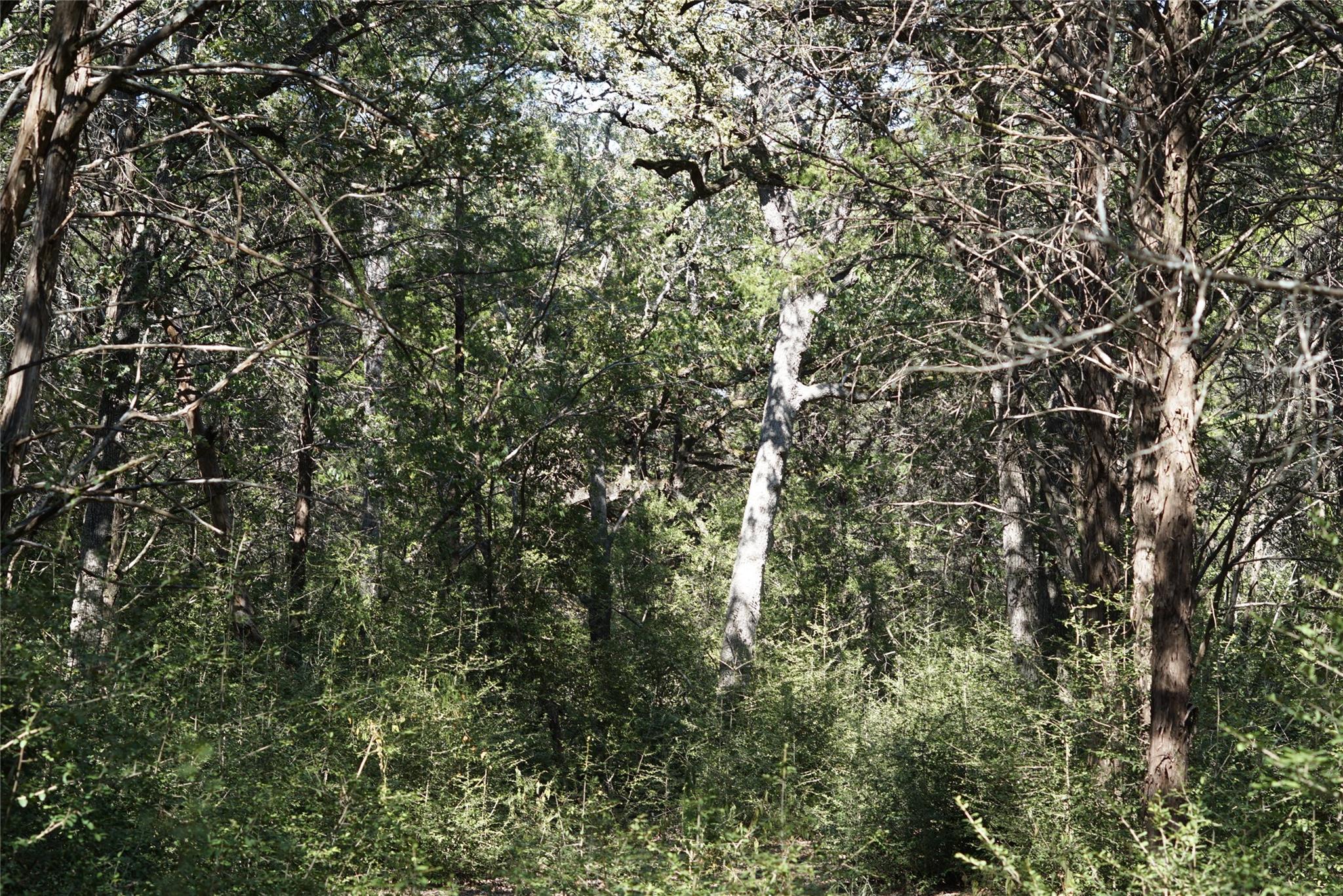 1135 Private Road 7039, Lexington, TX 78947