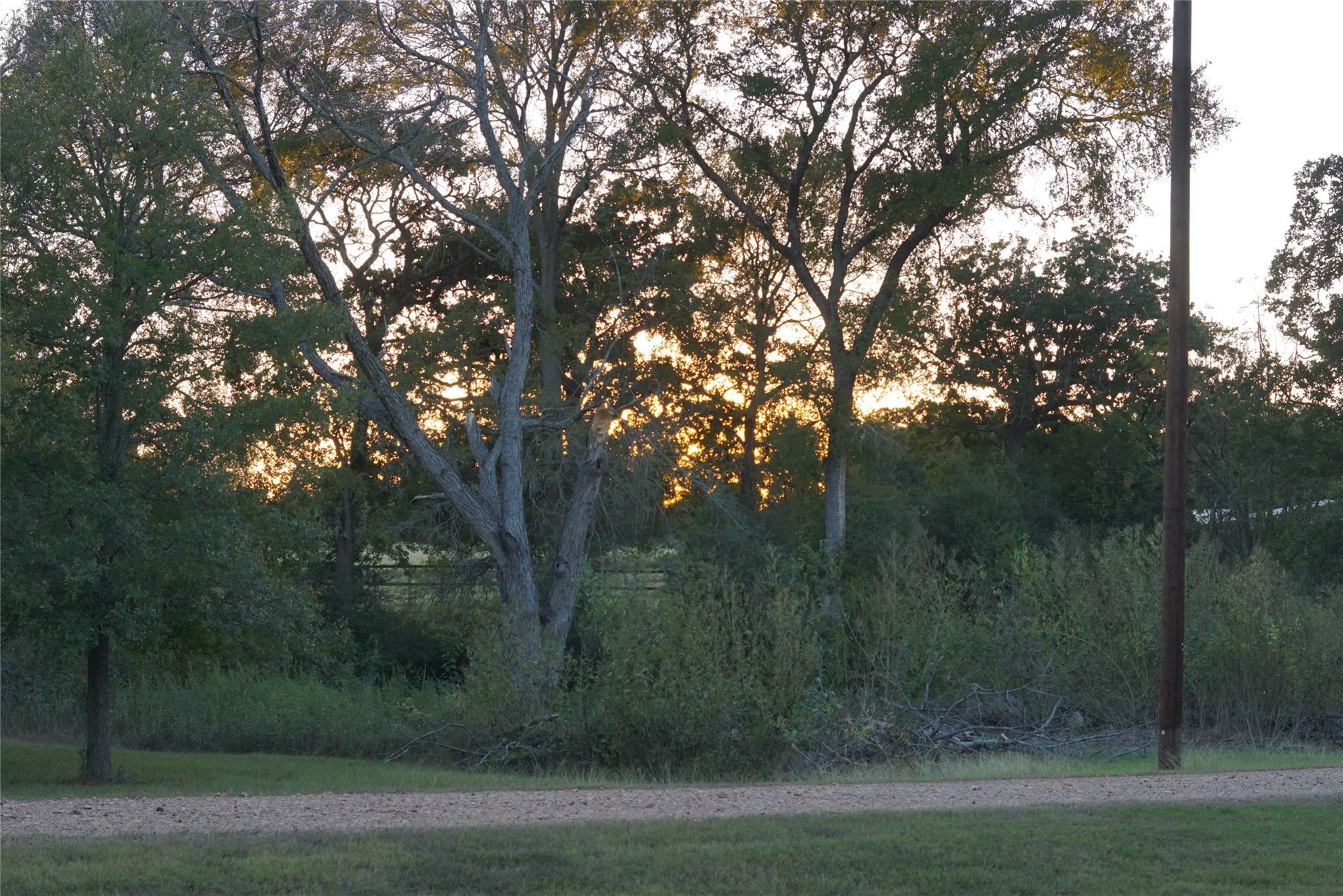 1135 Private Road 7039, Lexington, TX 78947