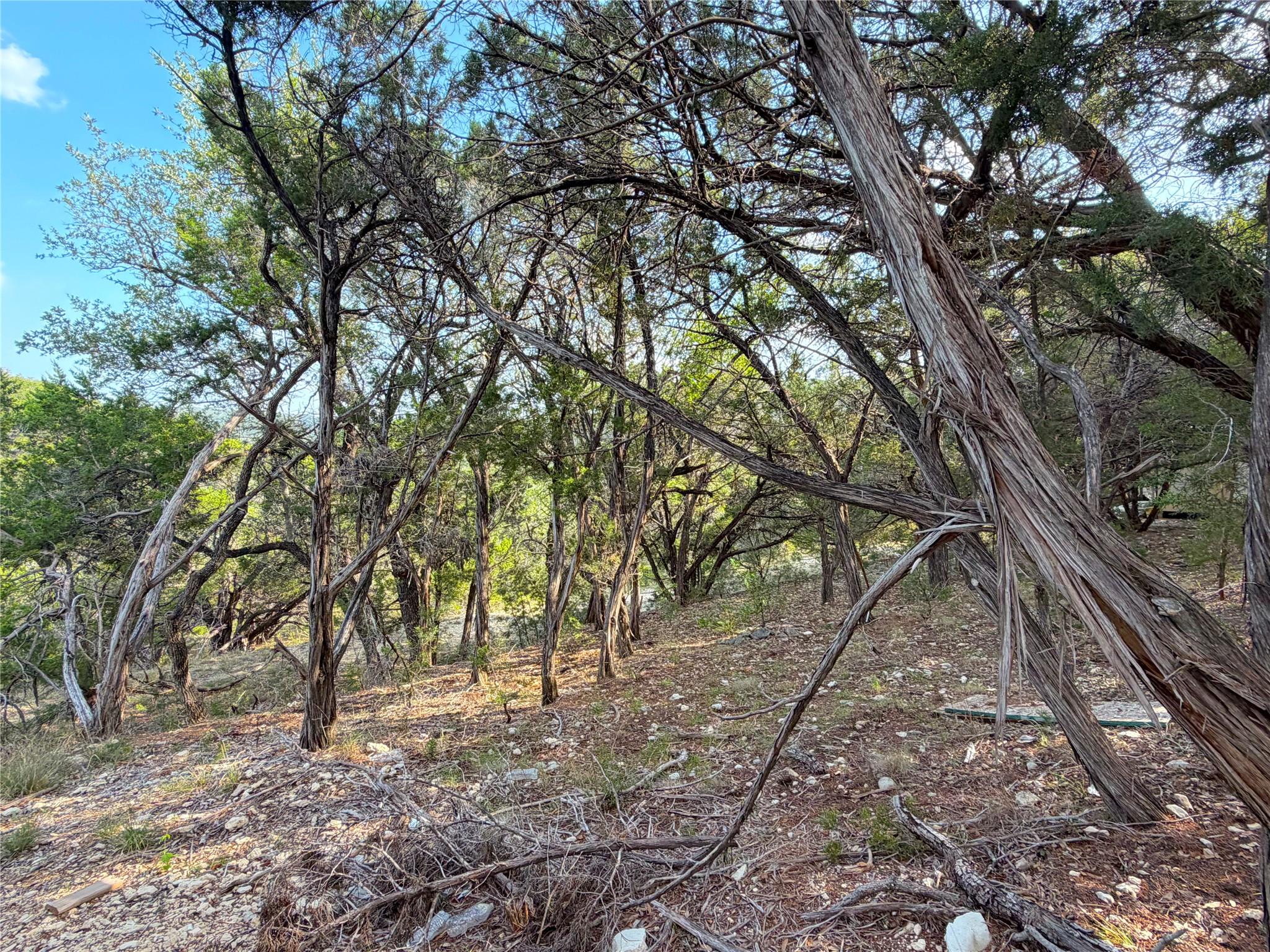 1362 Rockmoor, Canyon Lake, TX 78133