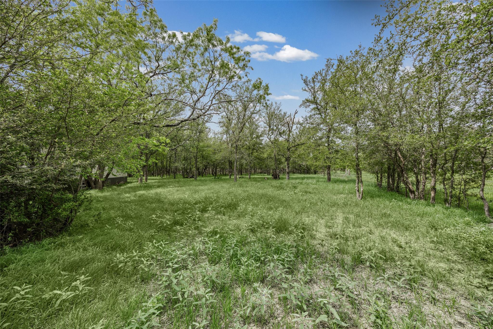 184 Oak Forest Ct, Cedar Creek, TX 78612