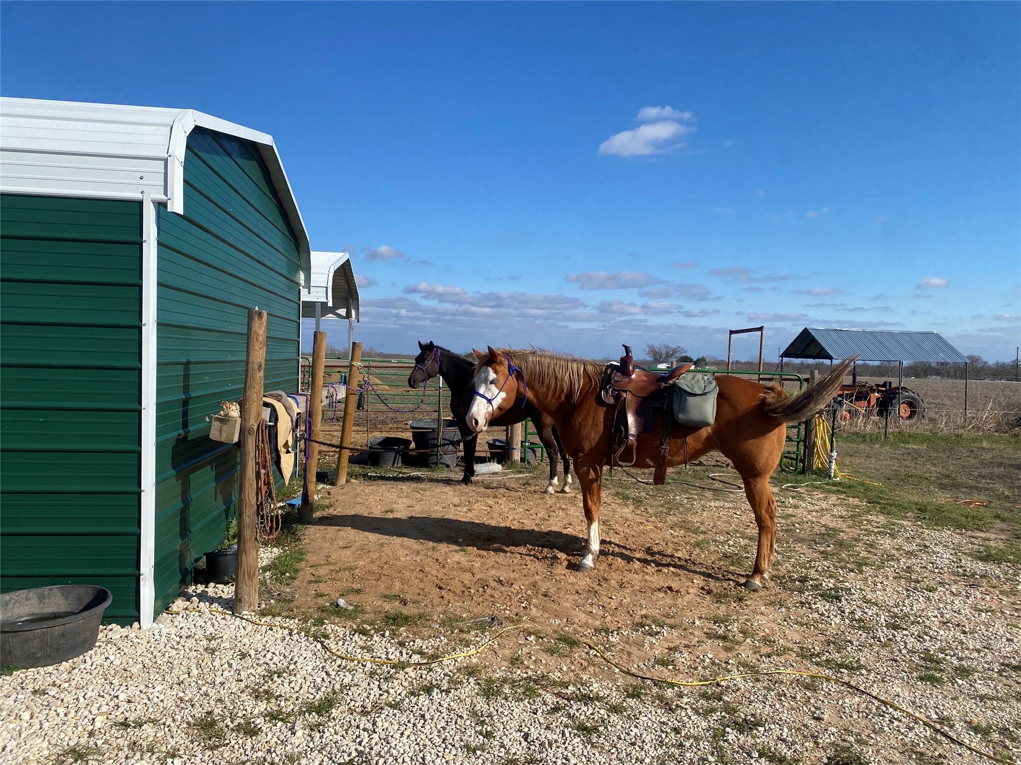 2949 County Road 437, Thorndale, TX 76577