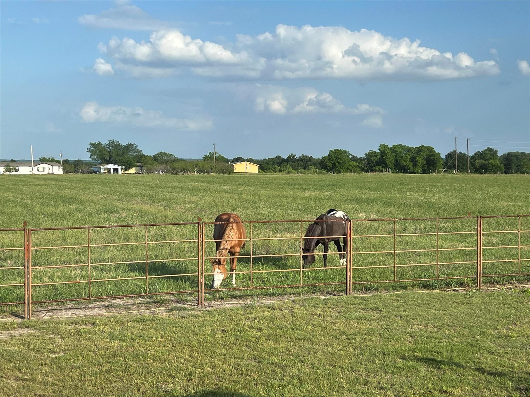 2949 County Road 437, Thorndale, TX 76577