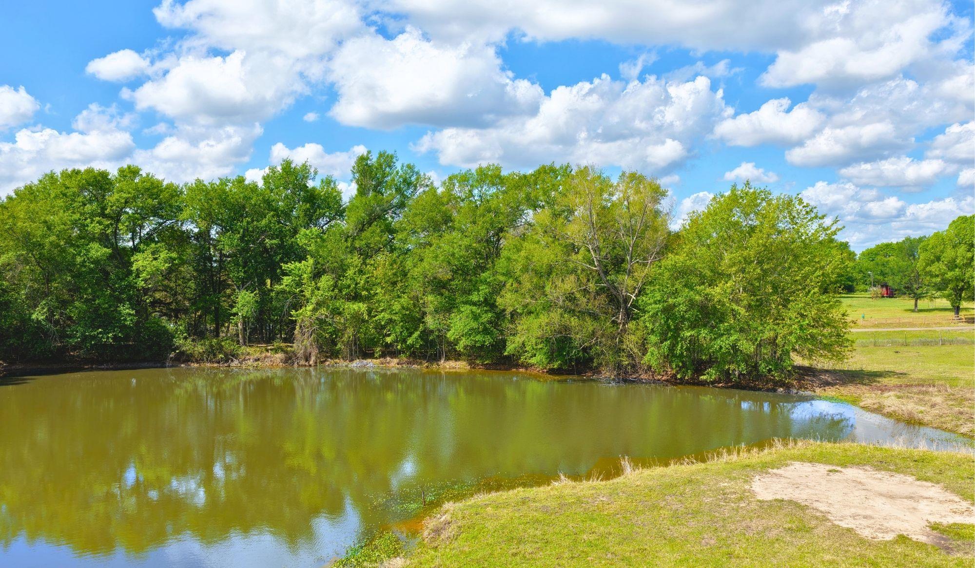 5916 Private Road 2003 (+16.9 acres), Caldwell, TX 77836