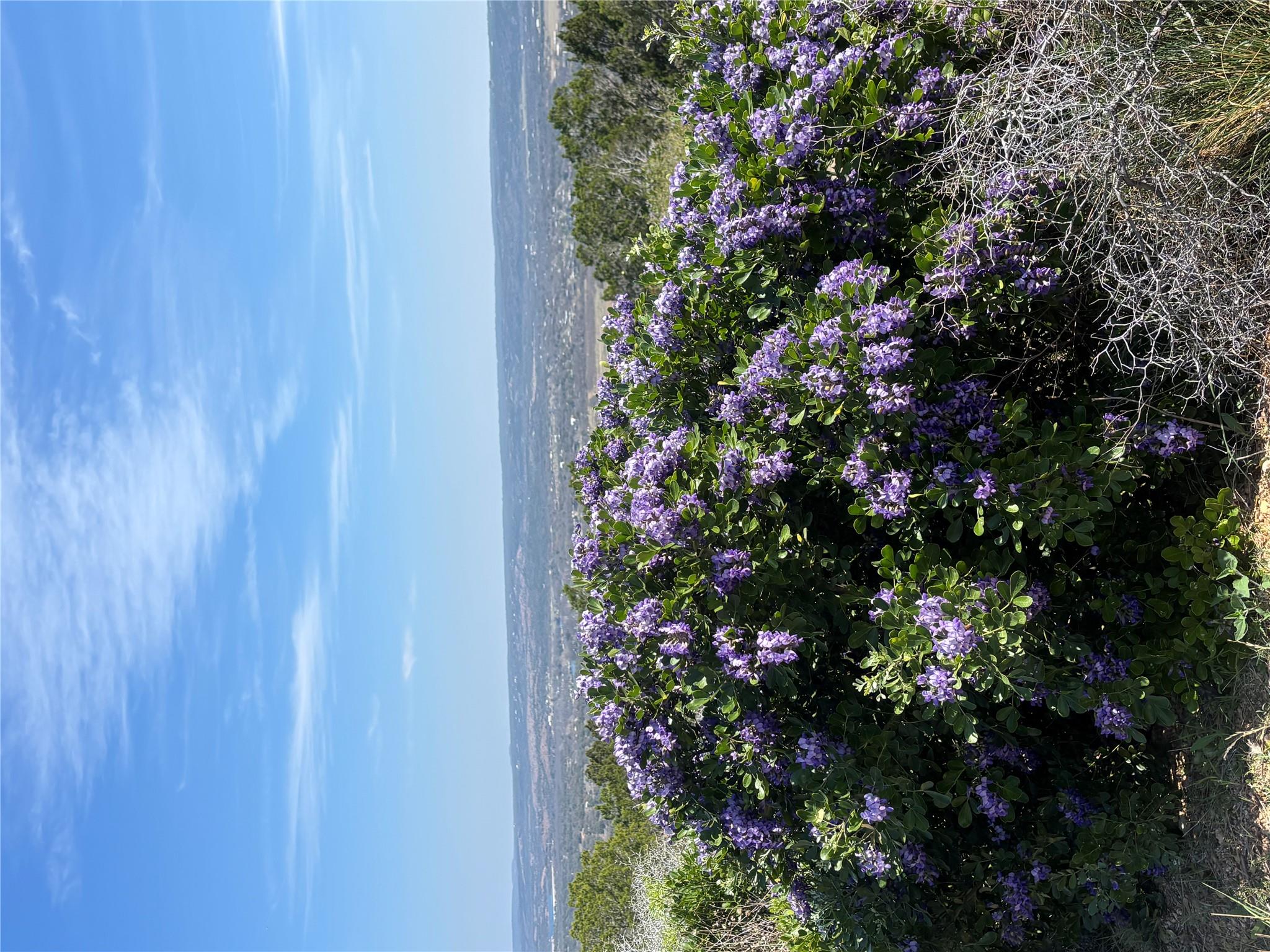 1056 Escalar Dr, Kingsland, TX 78611