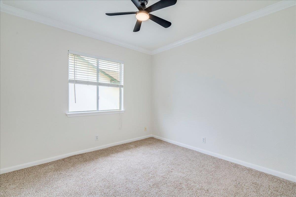 201 Elmer Cv, Kyle, TX 78640