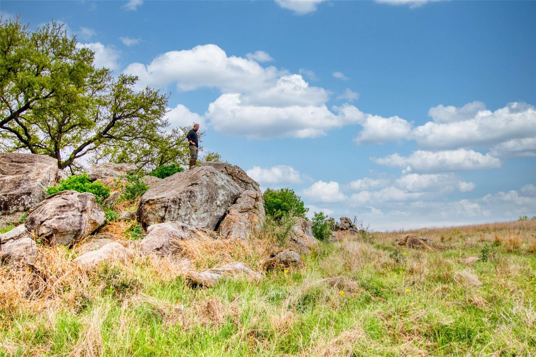 247 Cow Trail Rd, Mason, TX 76856