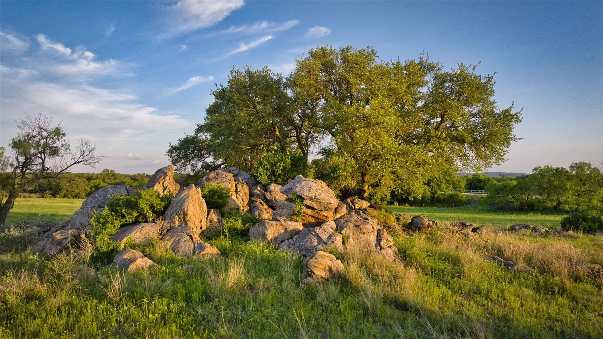 247 Cow Trail Rd, Mason, TX 76856