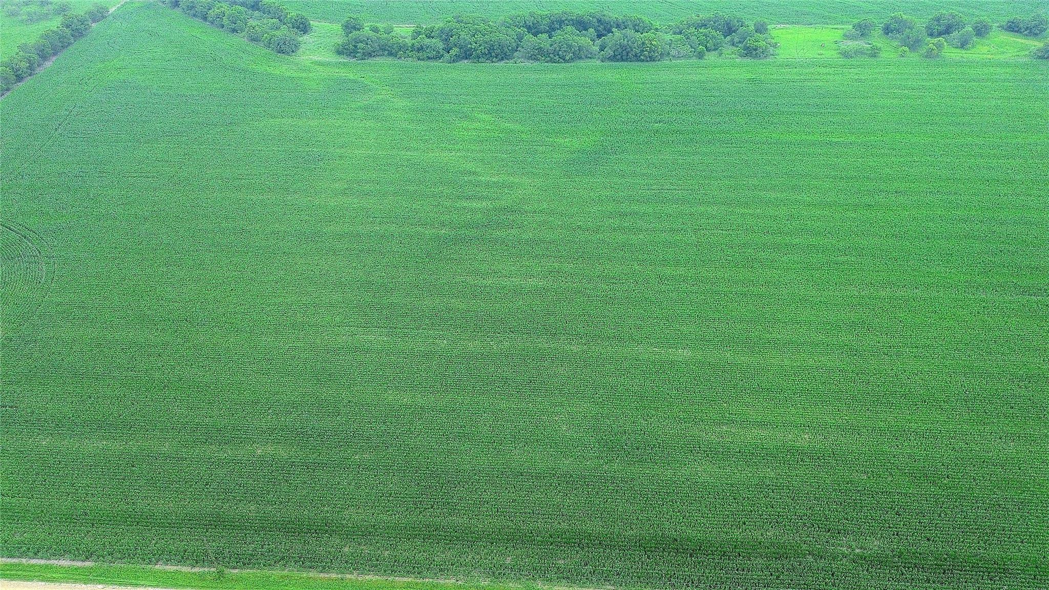 3501 County Road 409, Taylor, TX 76574