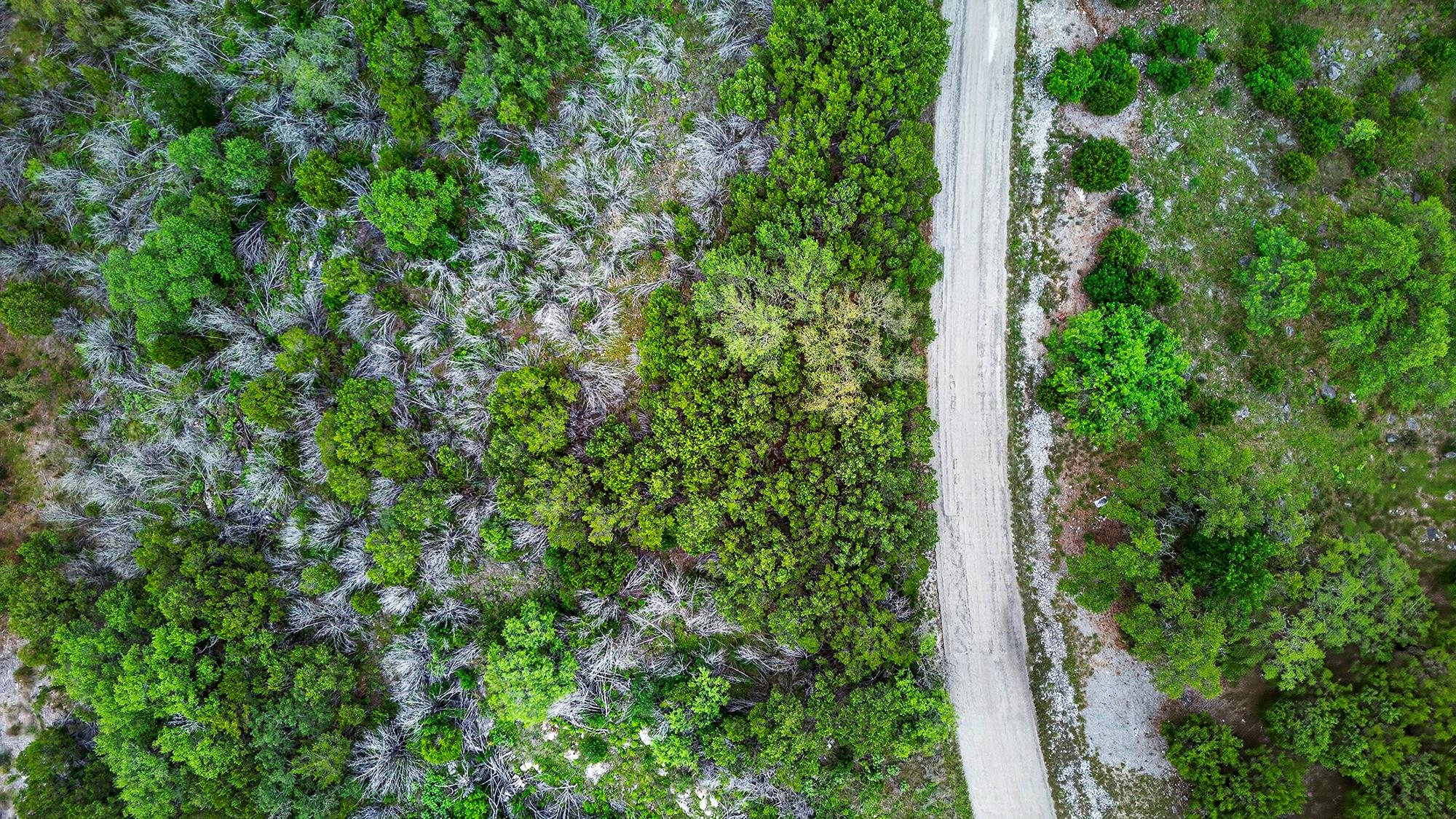 Lot K11050 Mountain Dew St, Horseshoe Bay, TX 78657