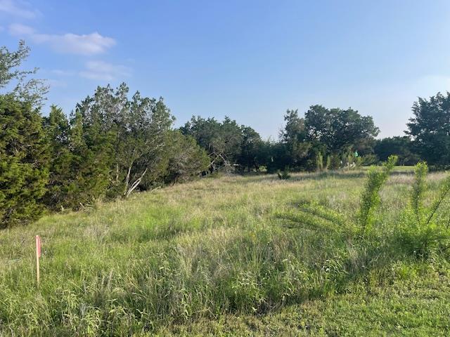 7205 Celebration Ct, Jonestown, TX 78645