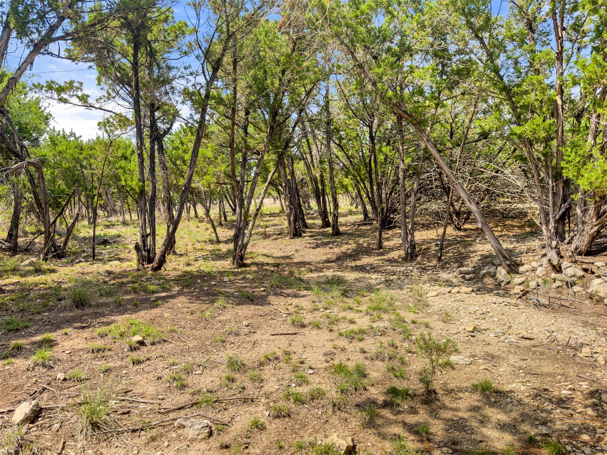 369 Onion Creek Ln, Blanco, TX 78606