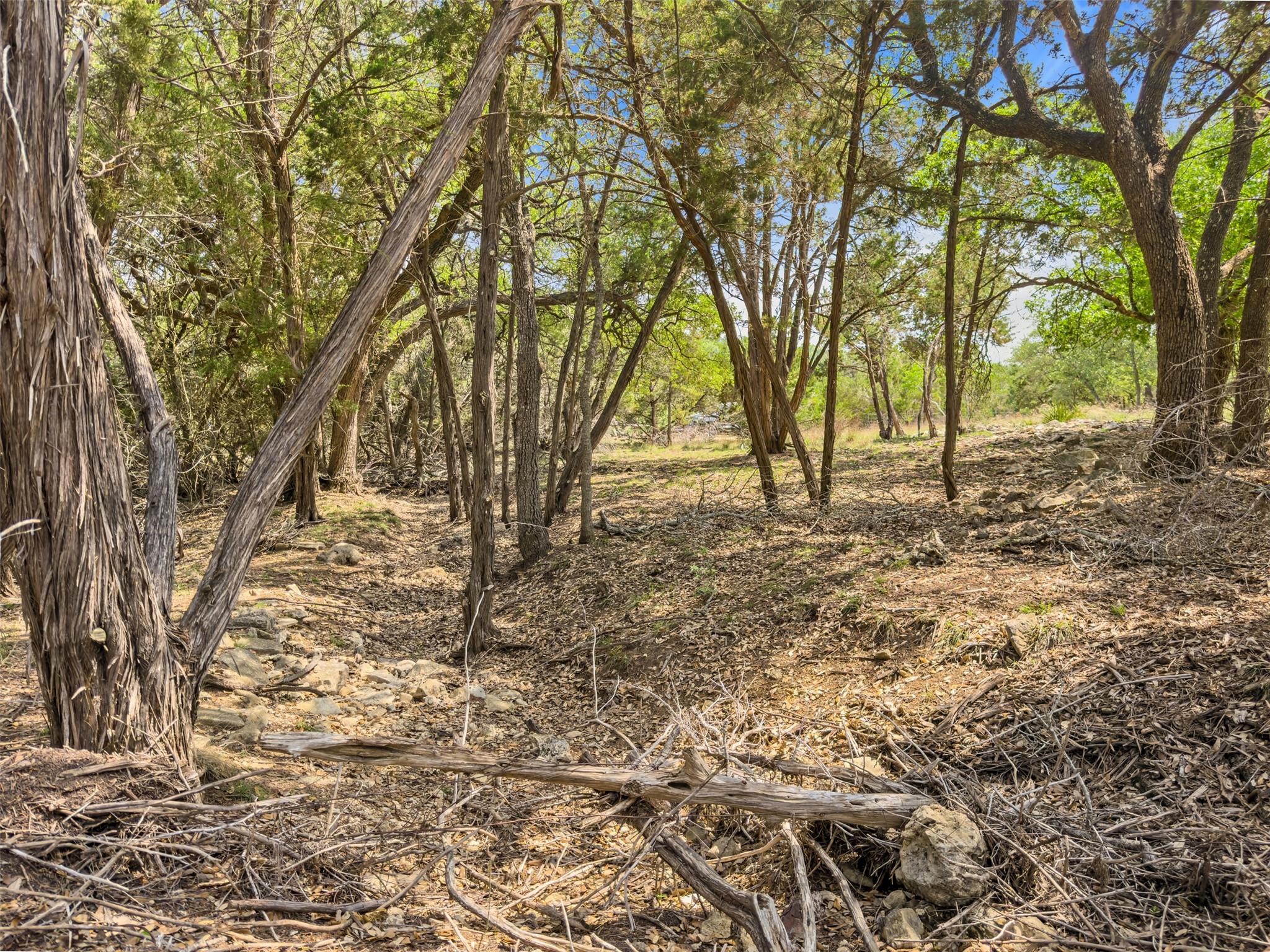 369 Onion Creek Ln, Blanco, TX 78606