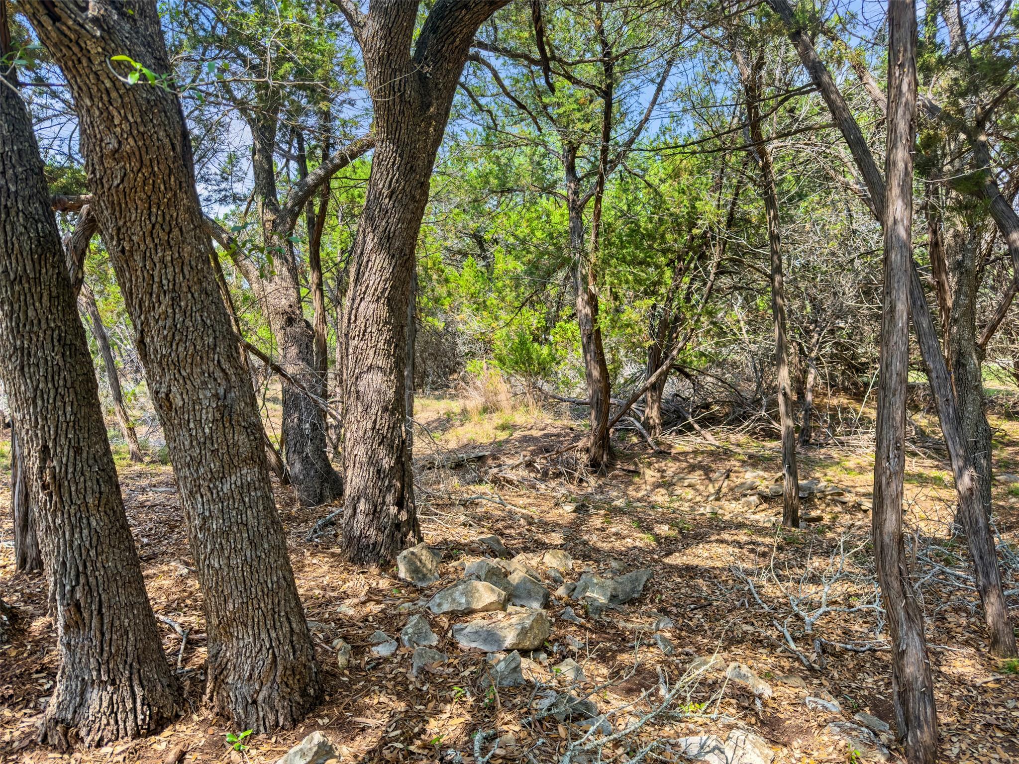 369 Onion Creek Ln, Blanco, TX 78606