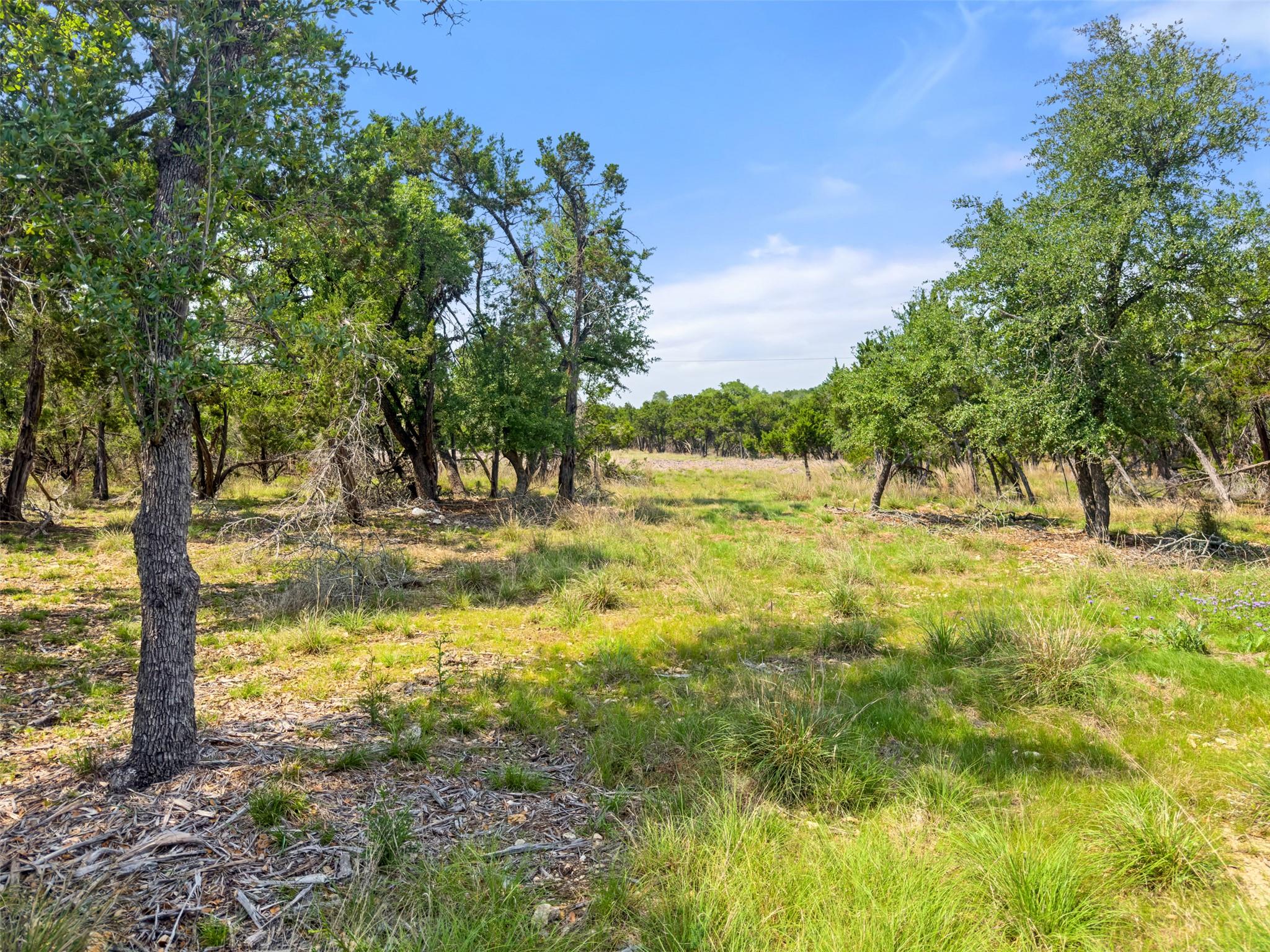 369 Onion Creek Ln, Blanco, TX 78606