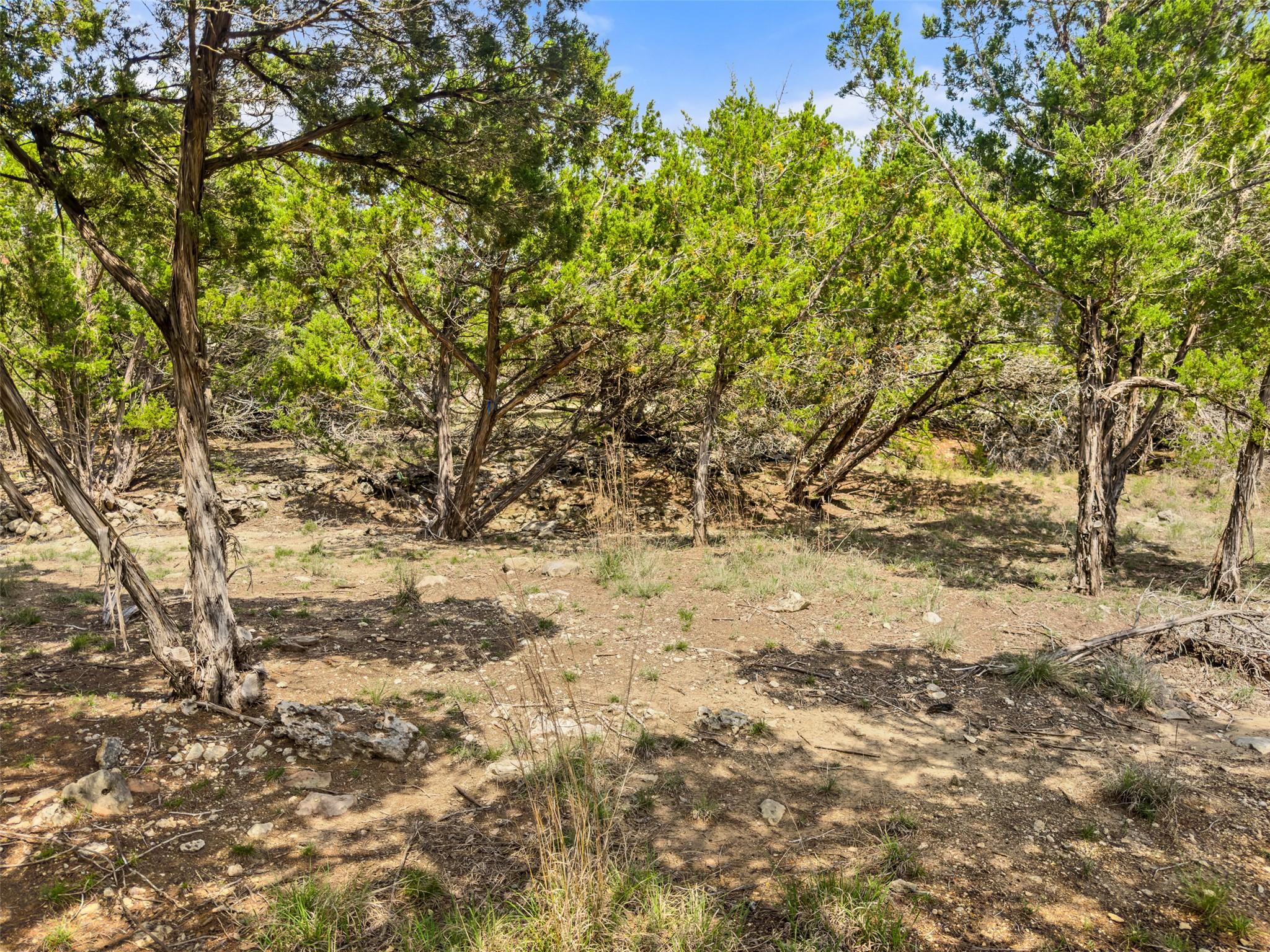 369 Onion Creek Ln, Blanco, TX 78606