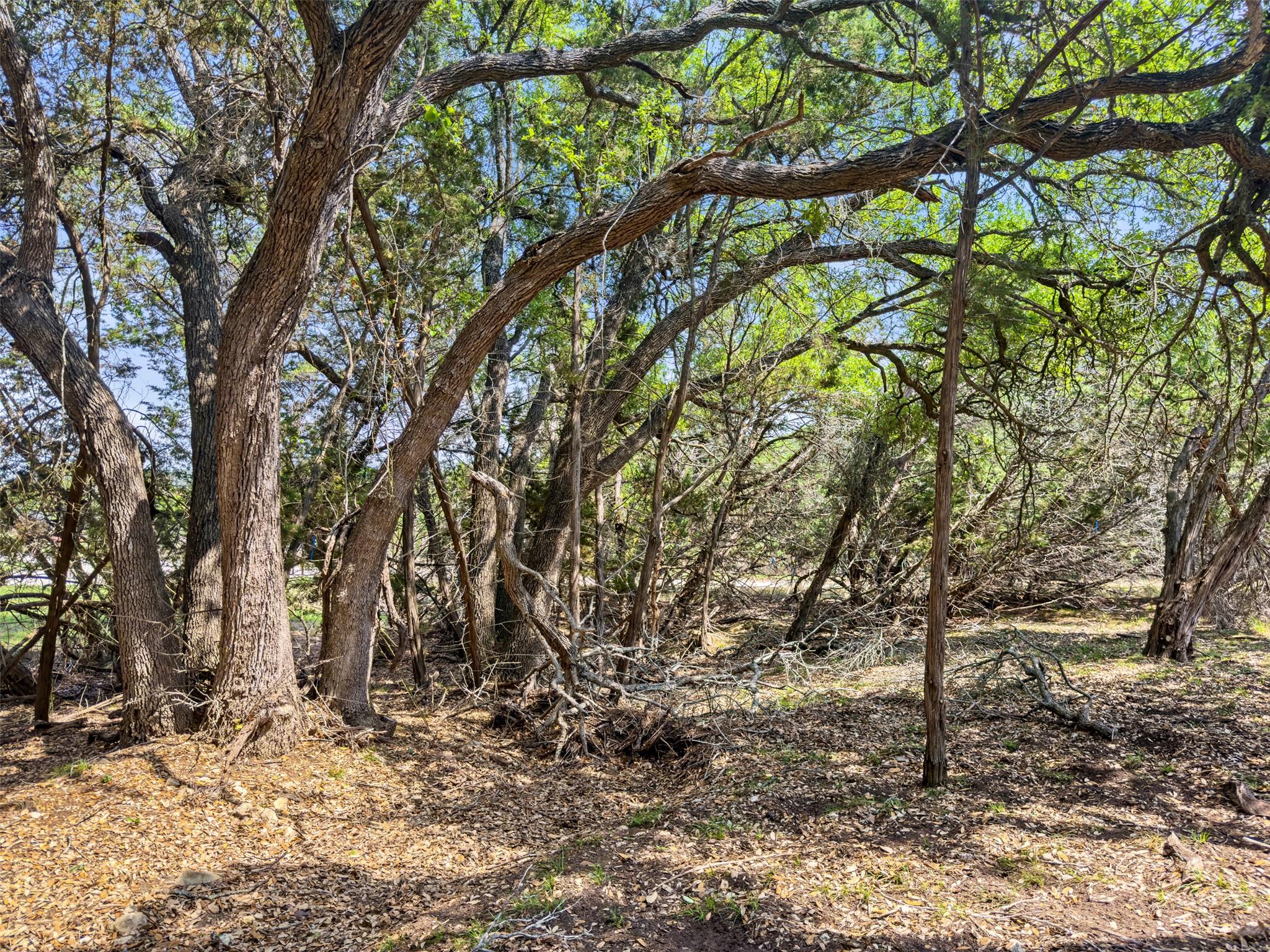 369 Onion Creek Ln, Blanco, TX 78606