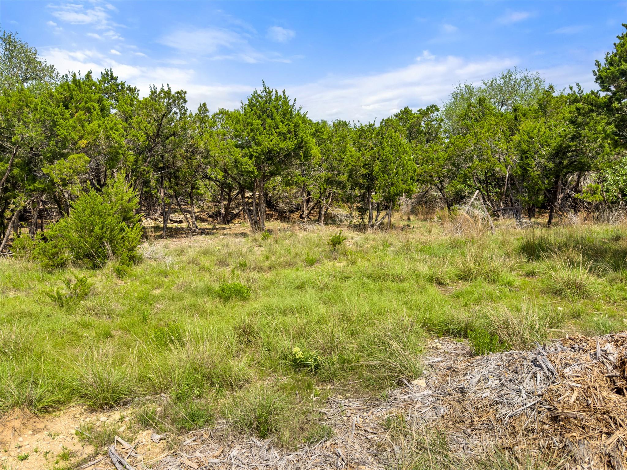 369 Onion Creek Ln, Blanco, TX 78606