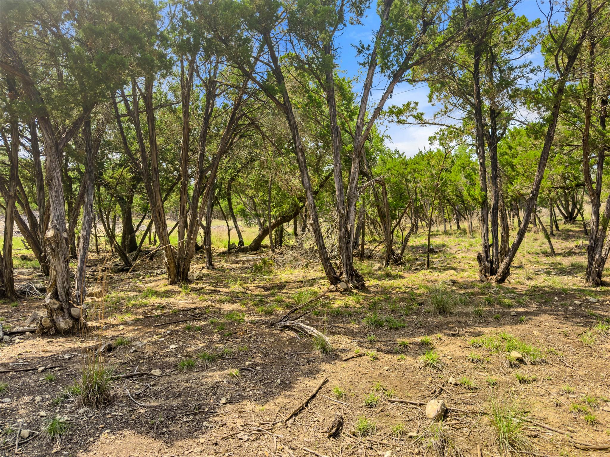 369 Onion Creek Ln, Blanco, TX 78606