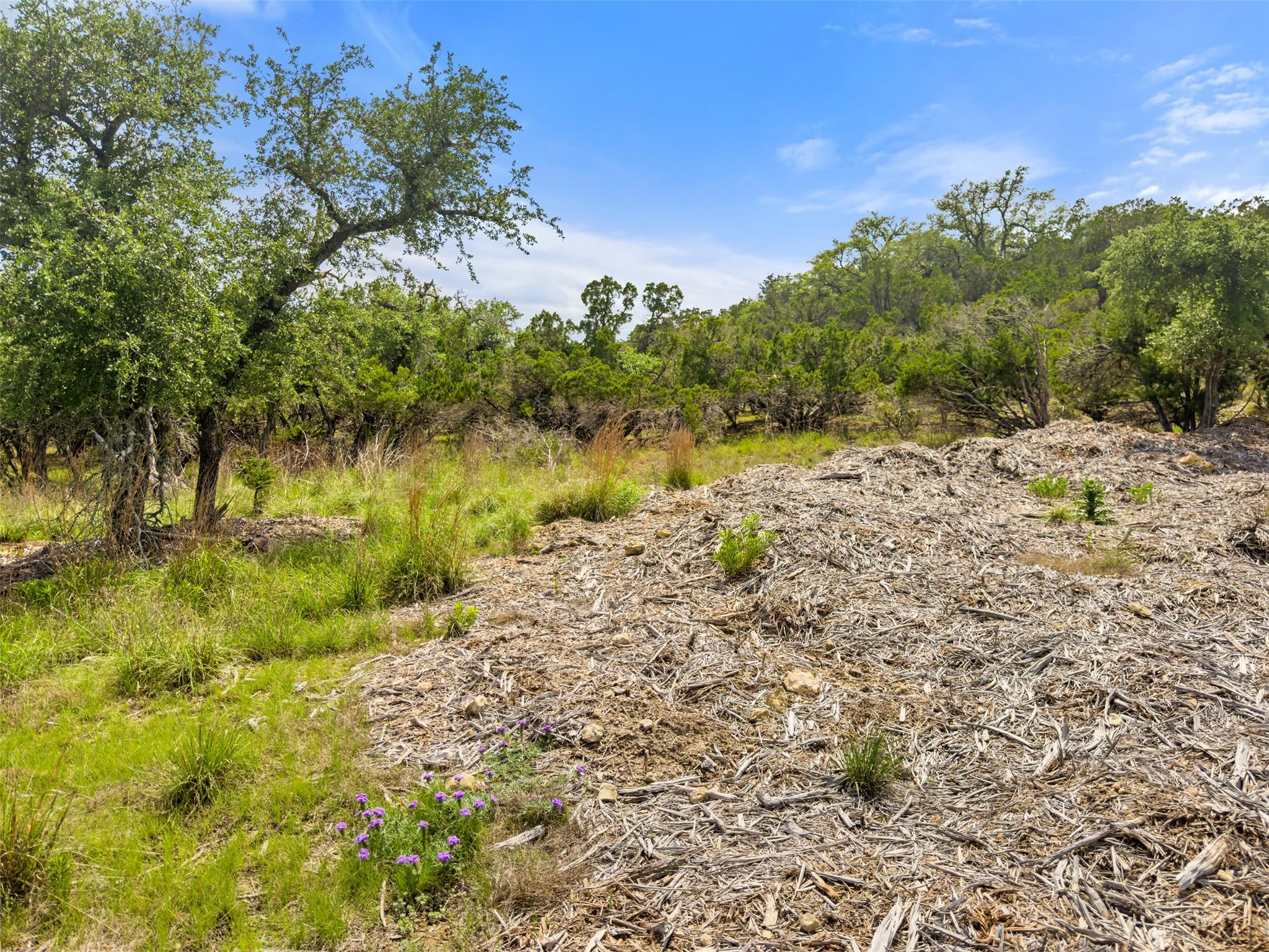 369 Onion Creek Ln, Blanco, TX 78606