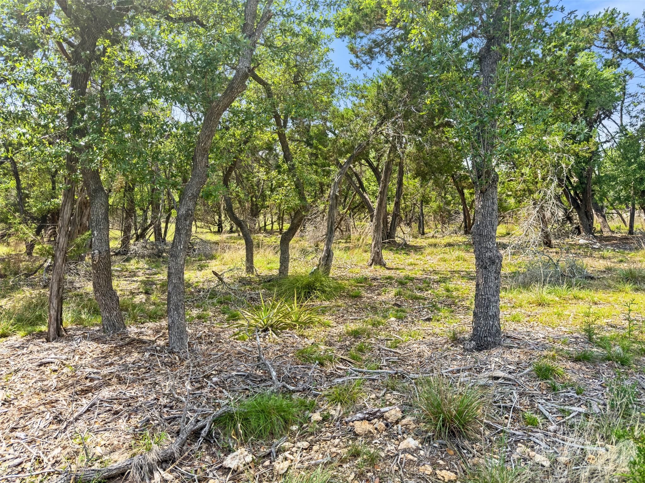 369 Onion Creek Ln, Blanco, TX 78606