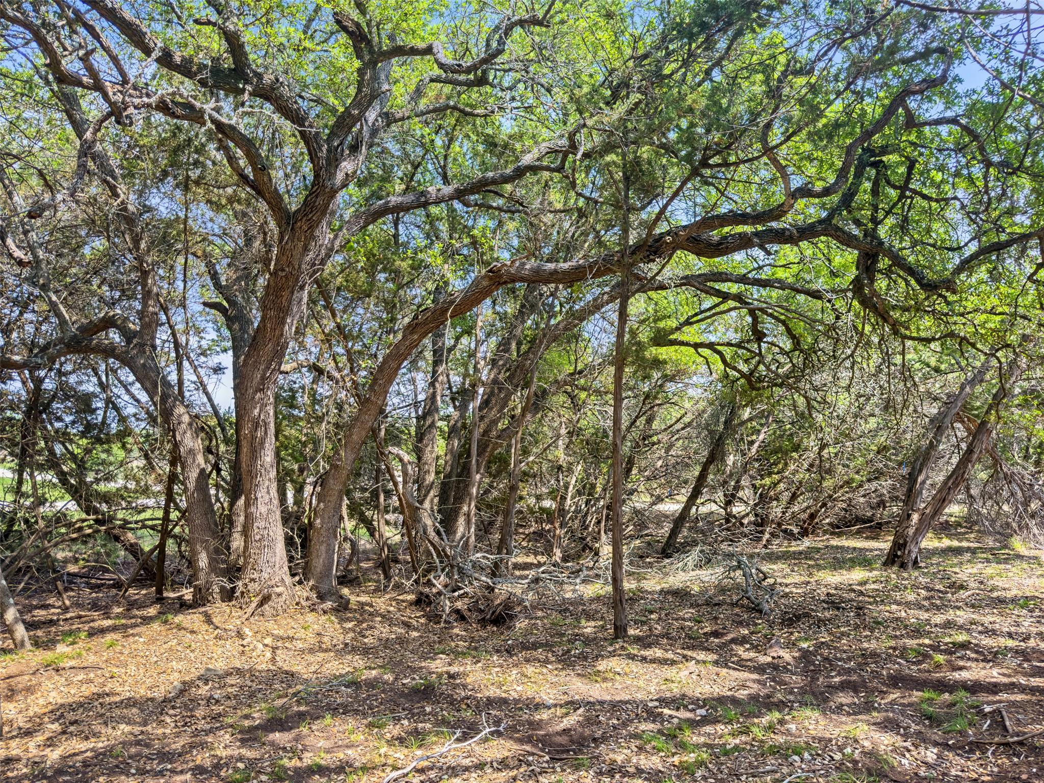 369 Onion Creek Ln, Blanco, TX 78606