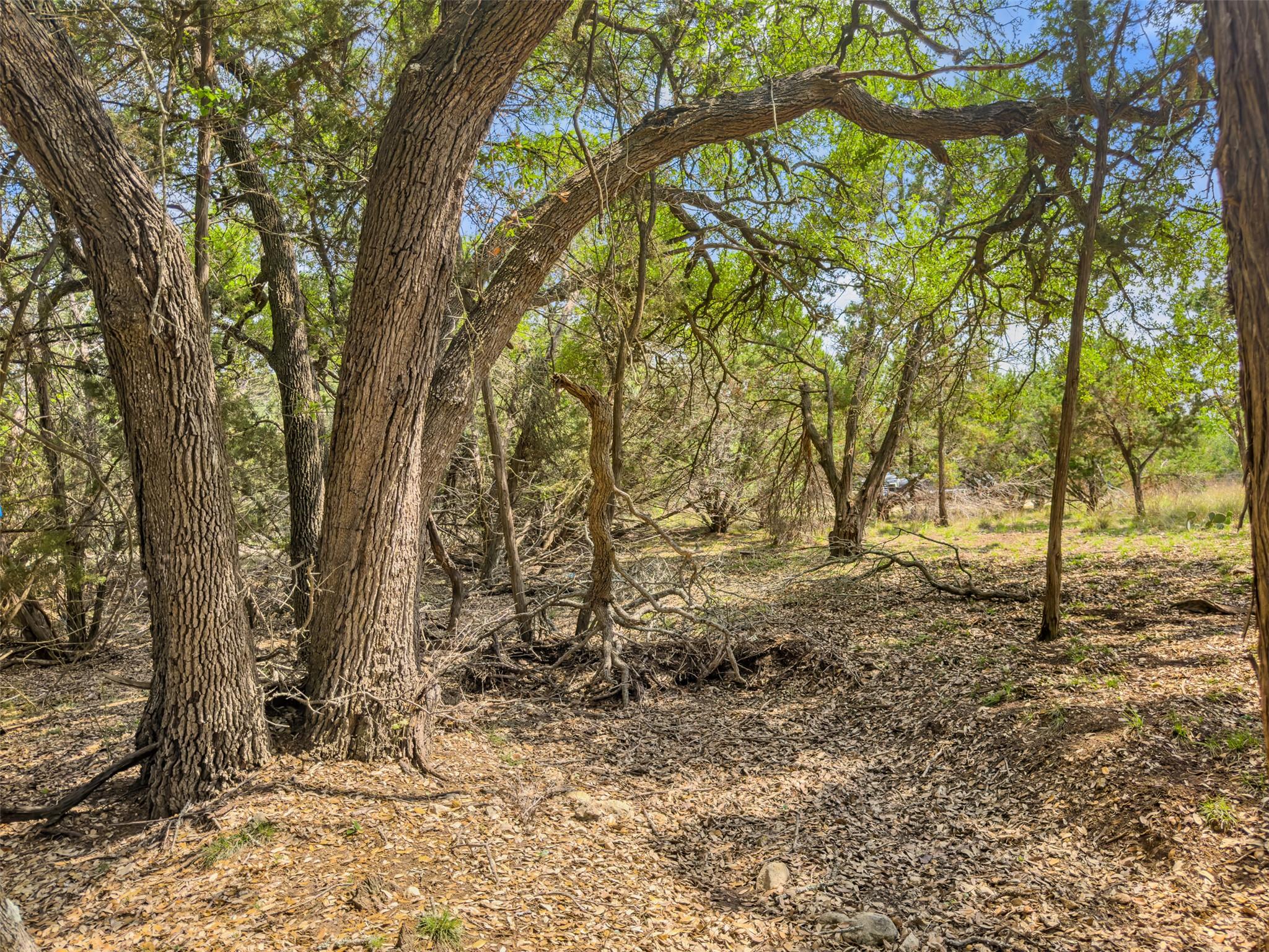 369 Onion Creek Ln, Blanco, TX 78606