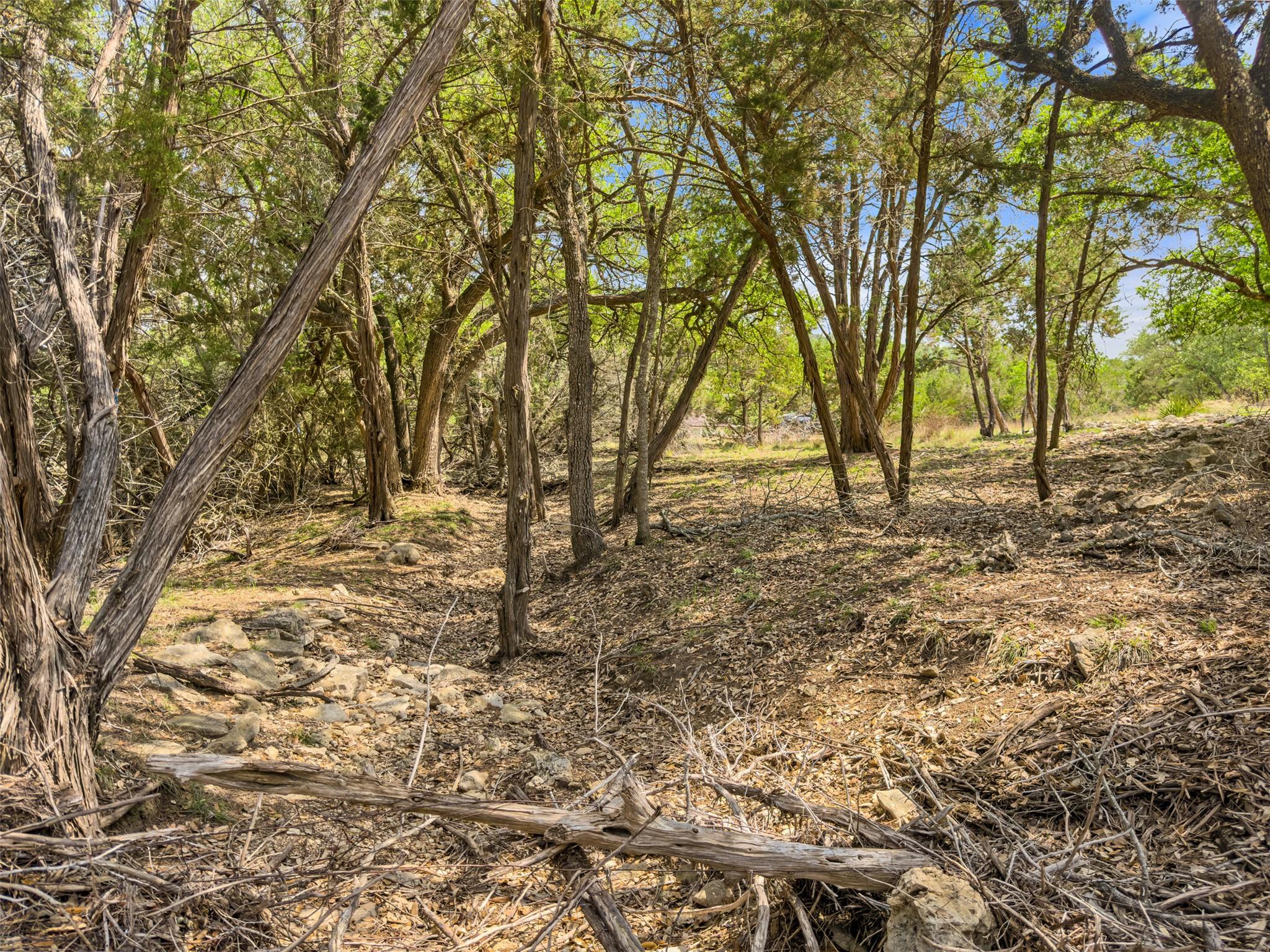 369 Onion Creek Ln, Blanco, TX 78606