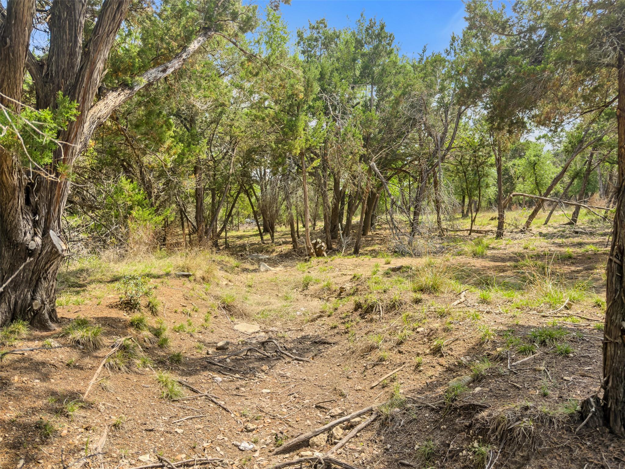 369 Onion Creek Ln, Blanco, TX 78606