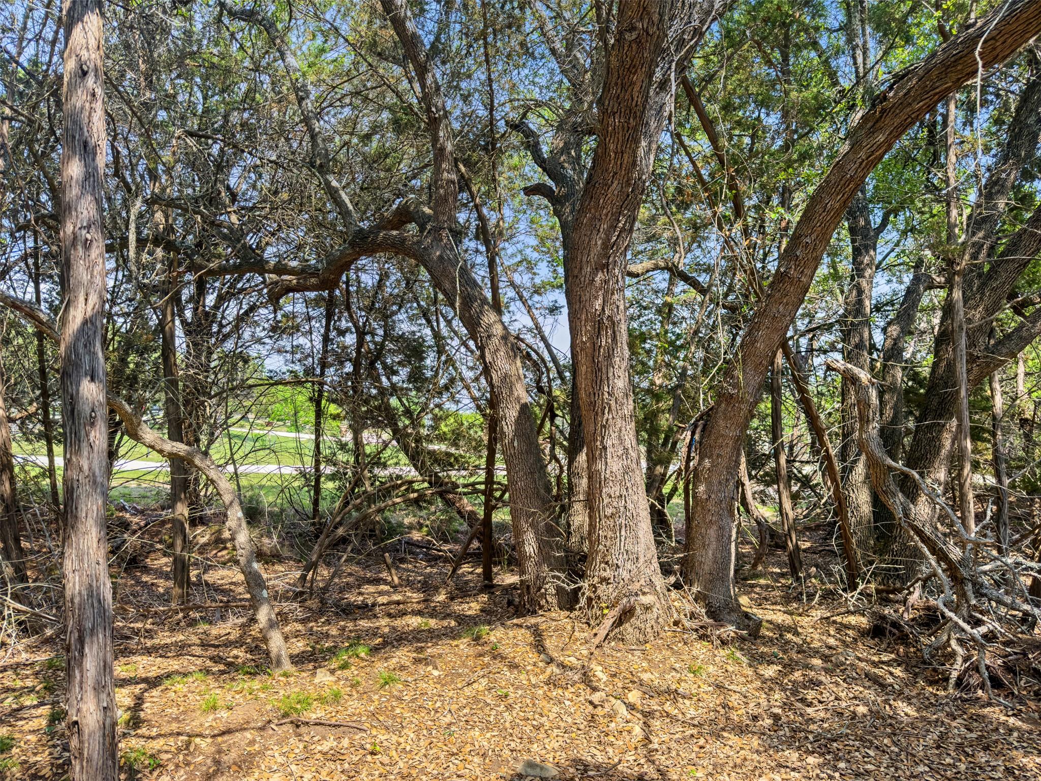 369 Onion Creek Ln, Blanco, TX 78606