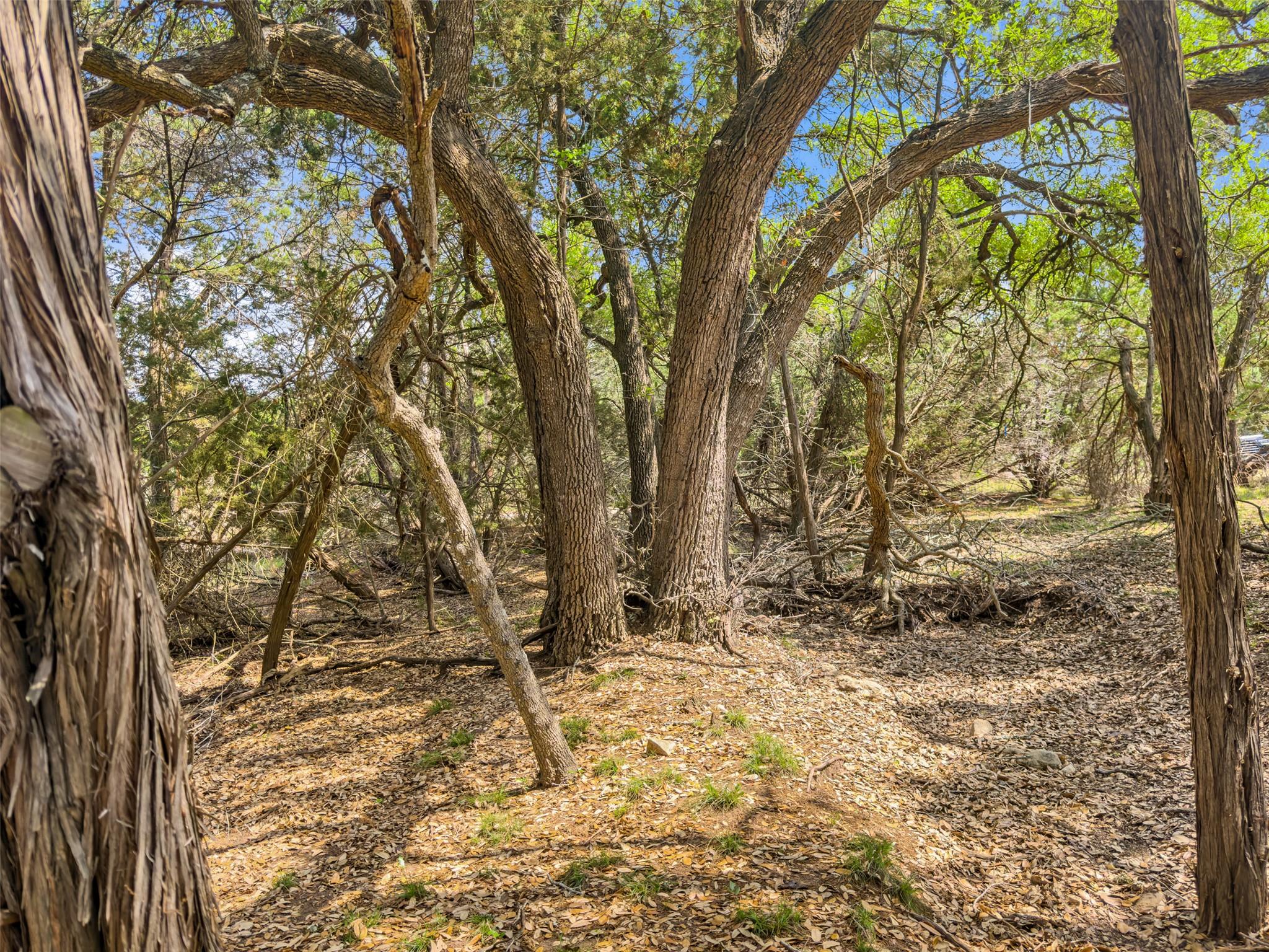 369 Onion Creek Ln, Blanco, TX 78606