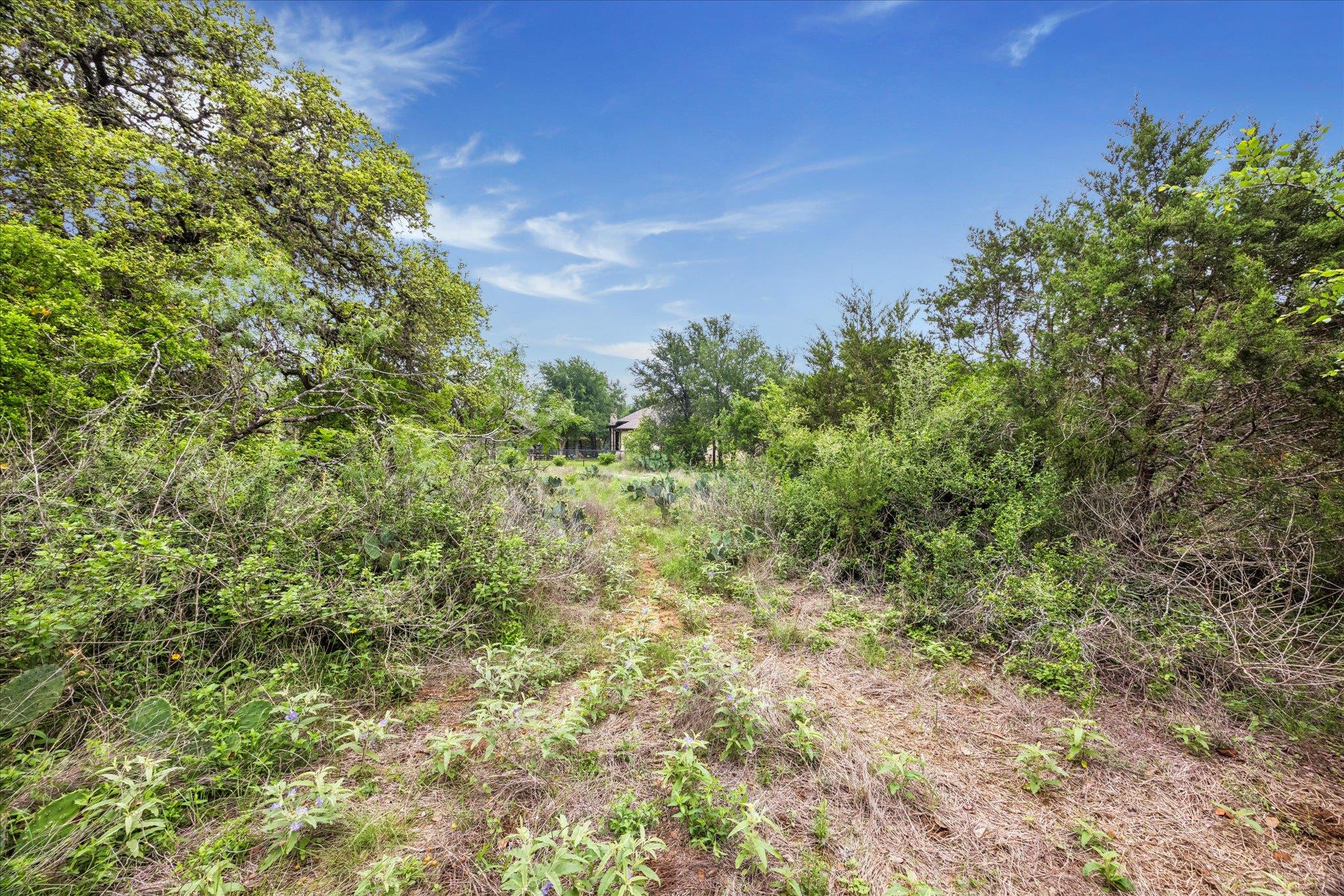 872 Oak Bluff Trl, New Braunfels, TX 78132