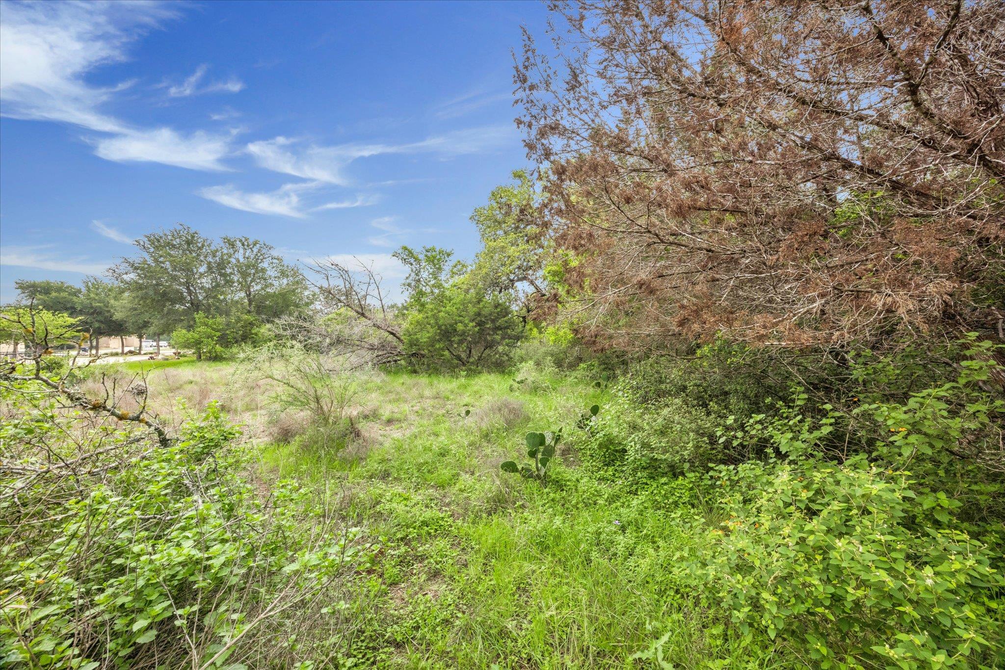 872 Oak Bluff Trl, New Braunfels, TX 78132