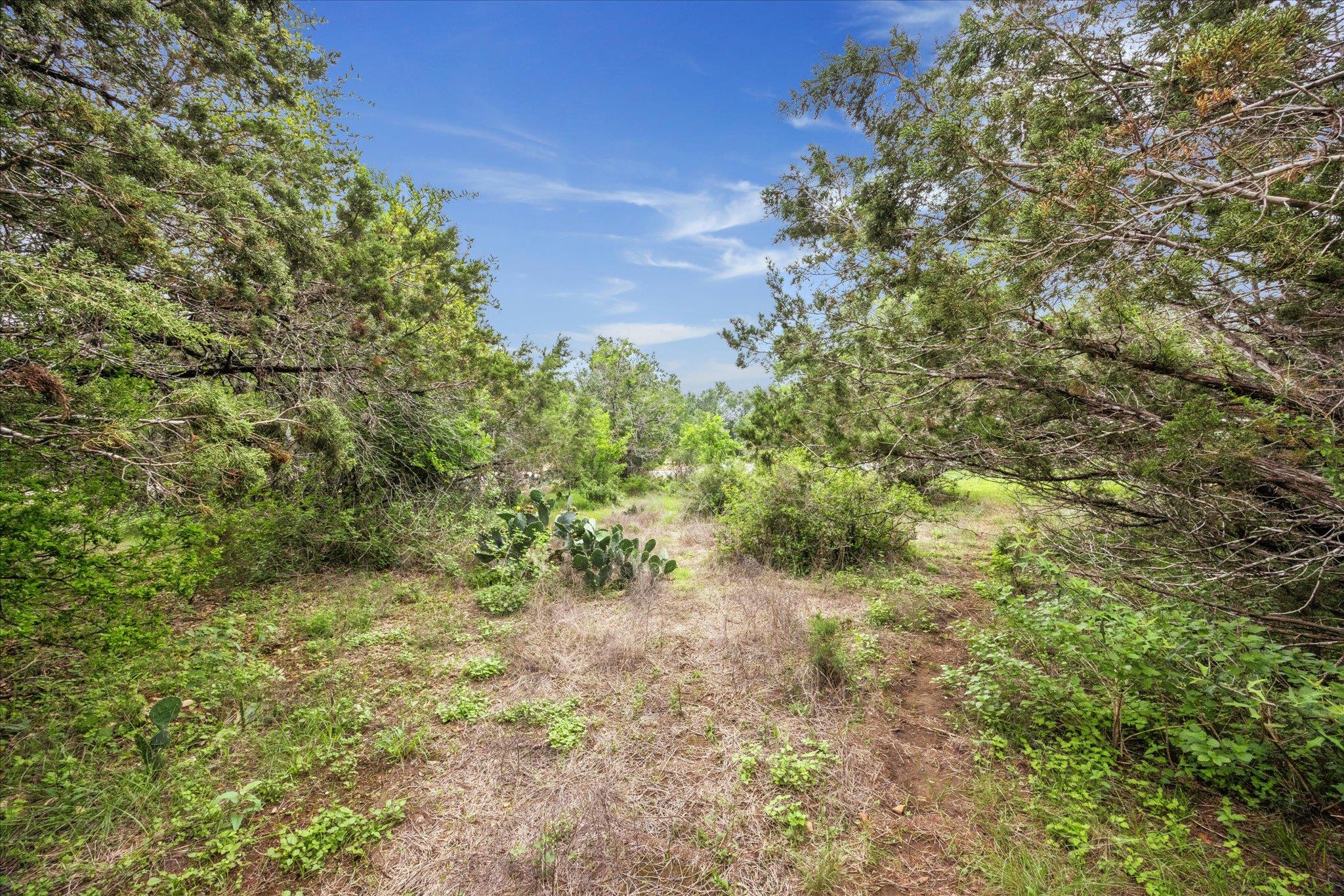 872 Oak Bluff Trl, New Braunfels, TX 78132