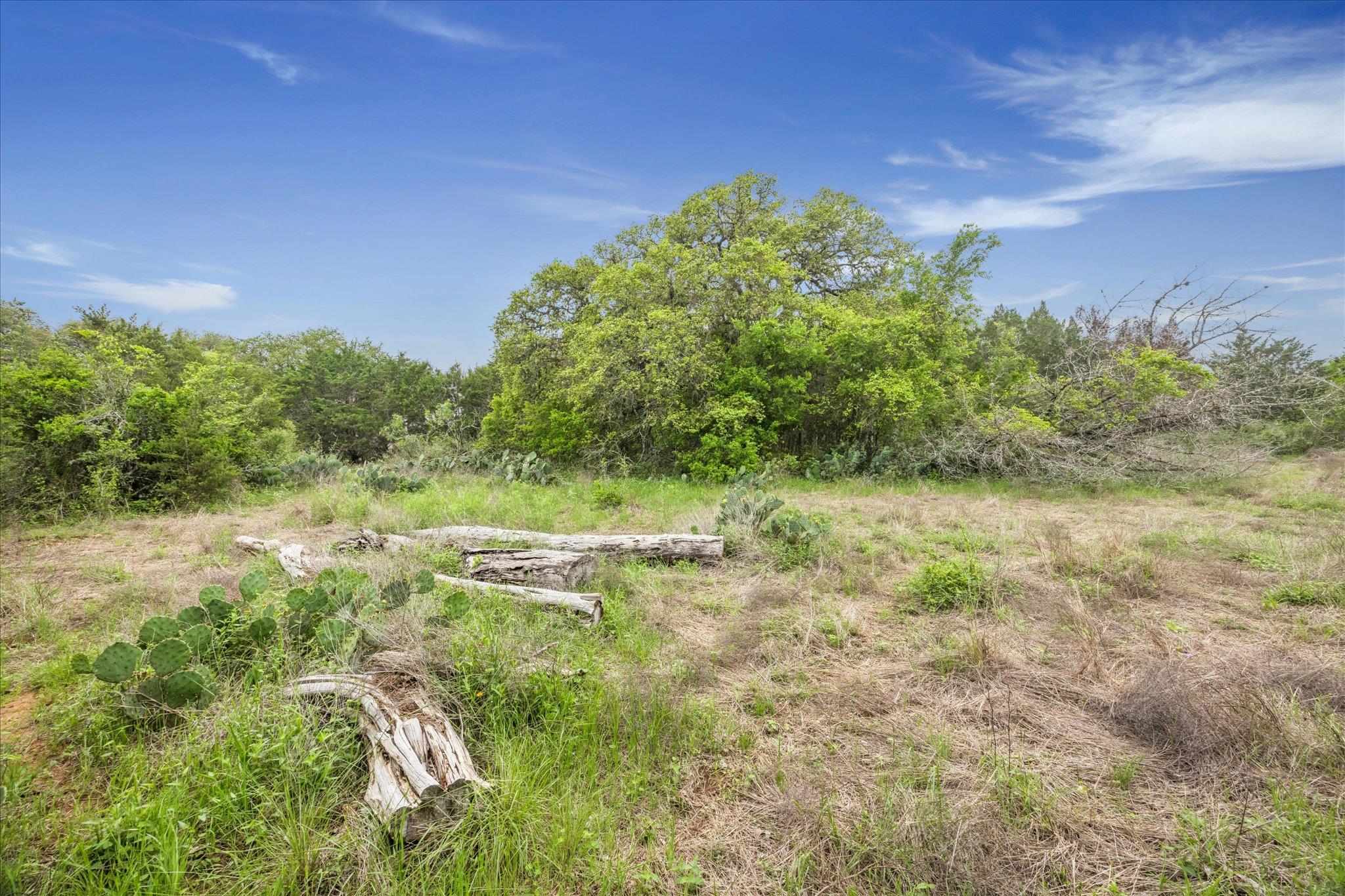 872 Oak Bluff Trl, New Braunfels, TX 78132