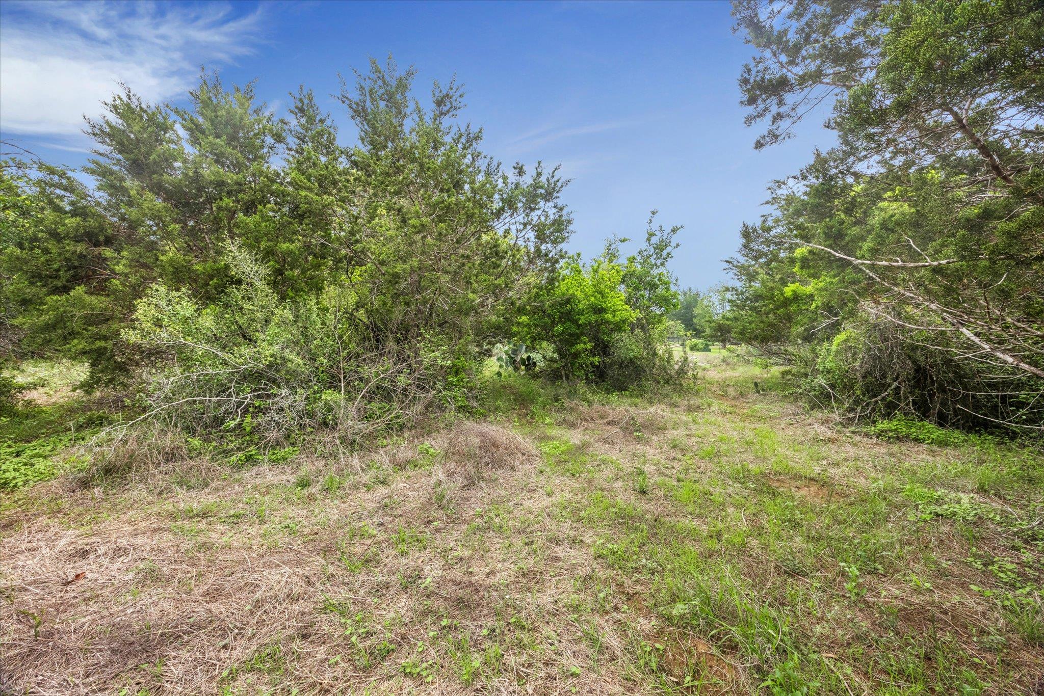 872 Oak Bluff Trl, New Braunfels, TX 78132