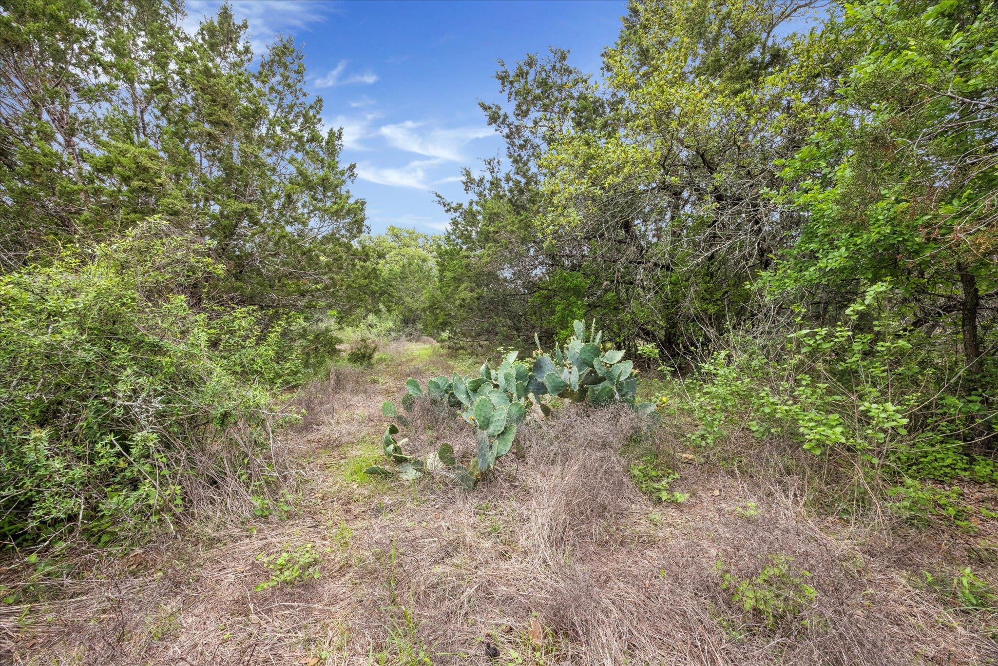 872 Oak Bluff Trl, New Braunfels, TX 78132
