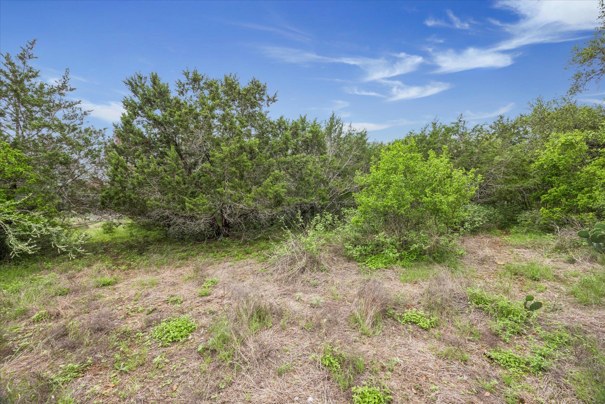 872 Oak Bluff Trl, New Braunfels, TX 78132