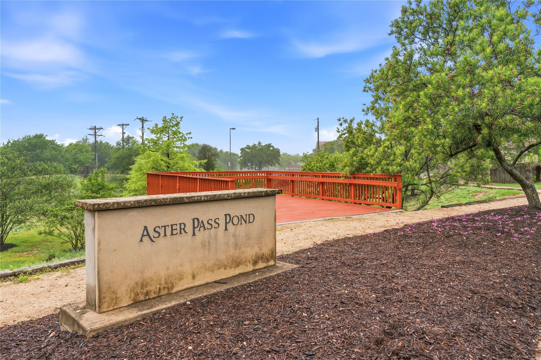 1909 Aster Pass, Cedar Park, TX 78613