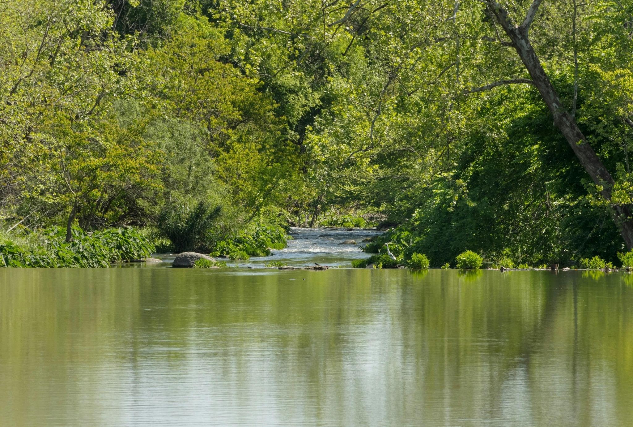 615 Pecan Ave, Round Rock, TX 78664