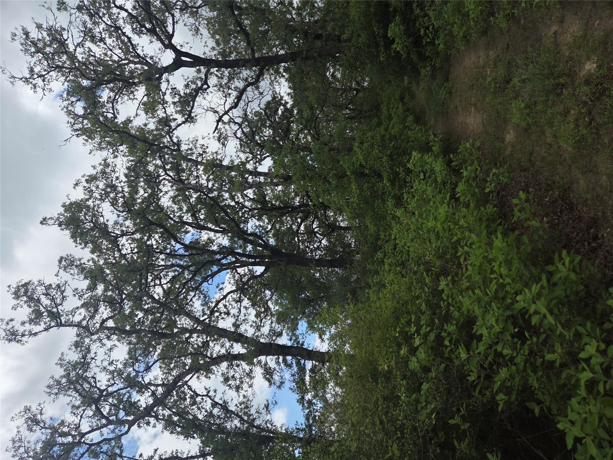 5345 Hwy 36, Milano, TX 76556