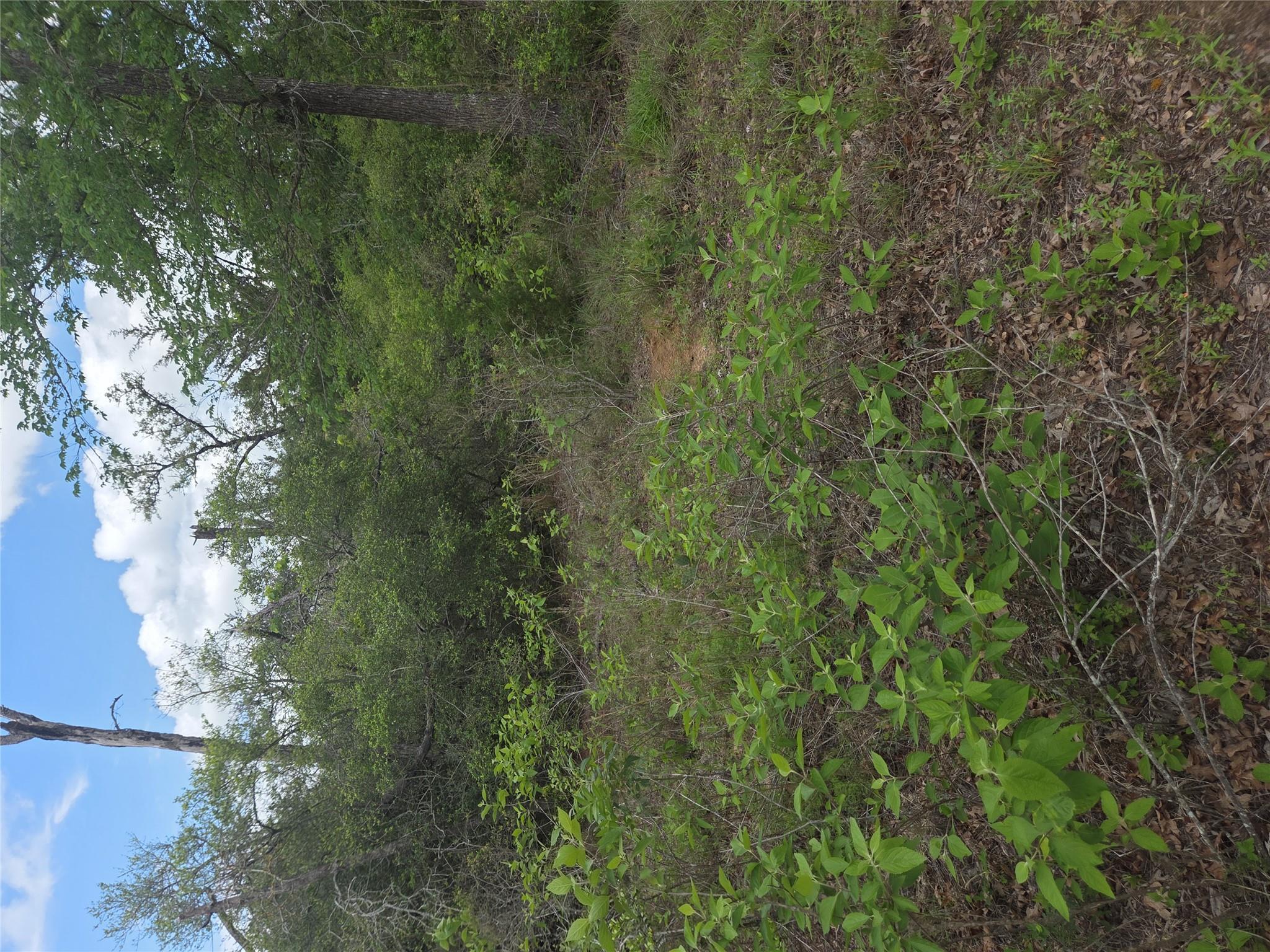 5345 Hwy 36, Milano, TX 76556