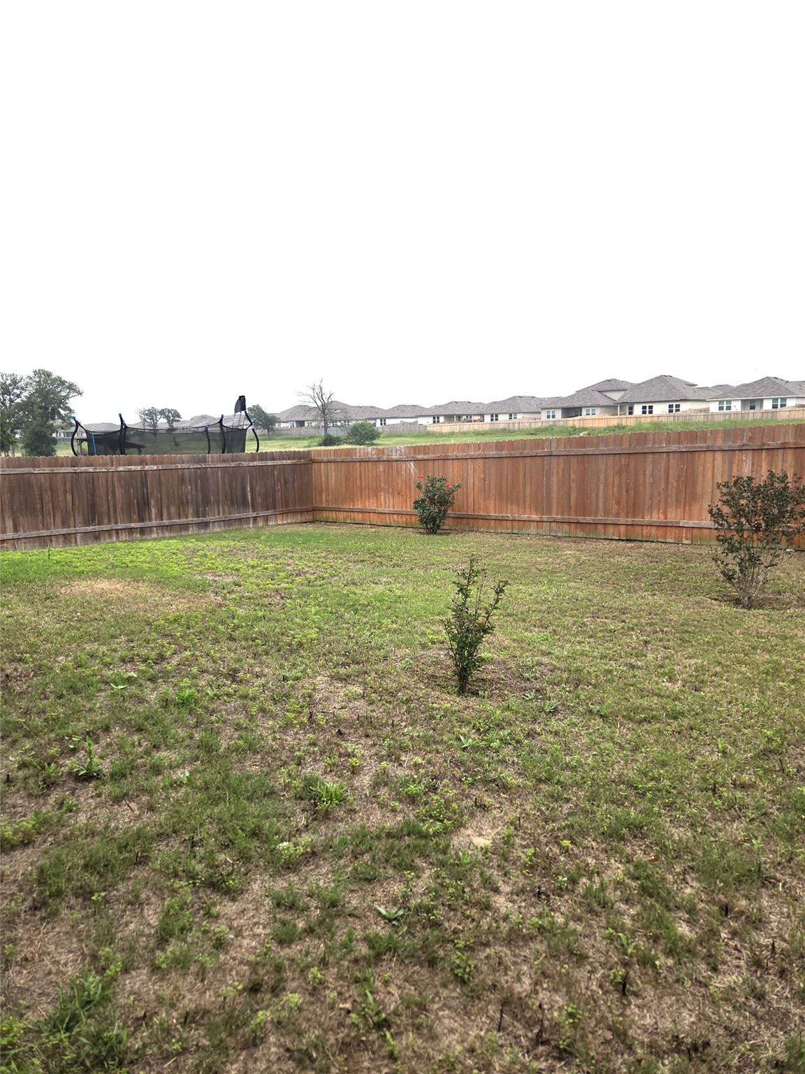 716 Monarch Dr, Seguin, TX 78155