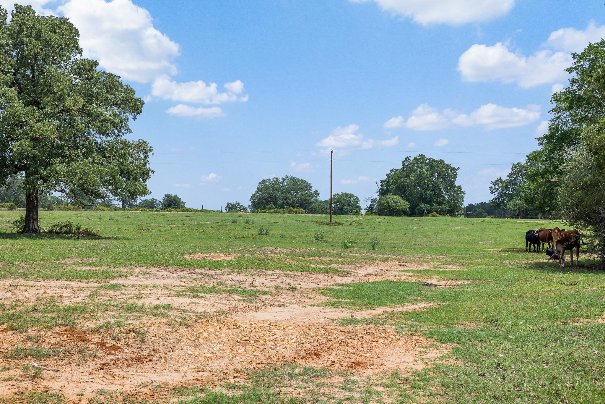 1371 Private Road 2051 Pr, Giddings, TX 78942