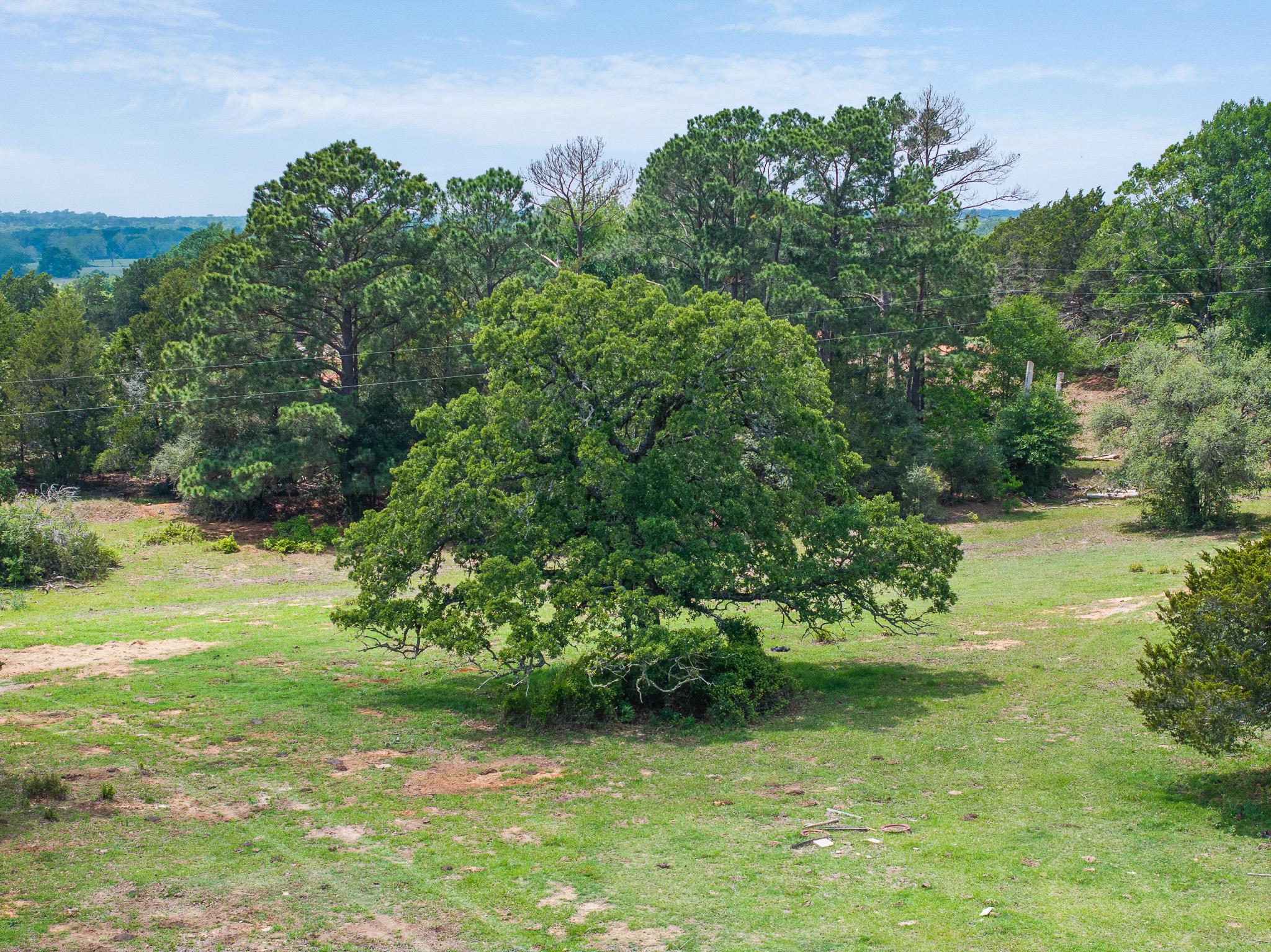 1371 Private Road 2051 Pr, Giddings, TX 78942