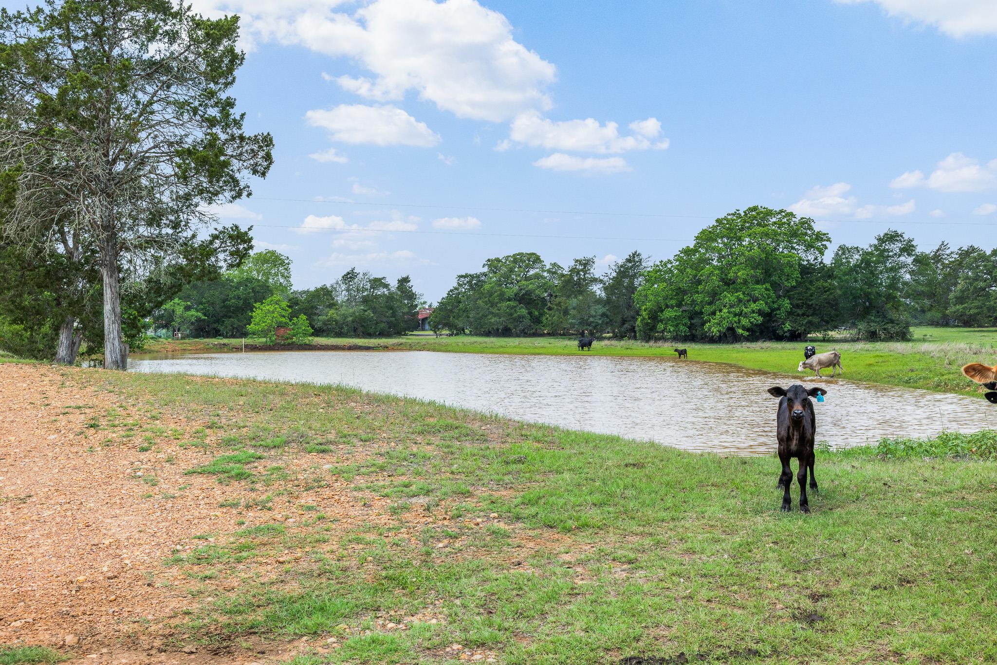 1371 Private Road 2051 Pr, Giddings, TX 78942