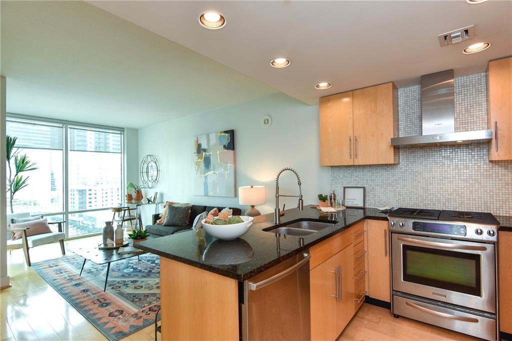 300 Bowie St # 1102, Austin, TX 78703