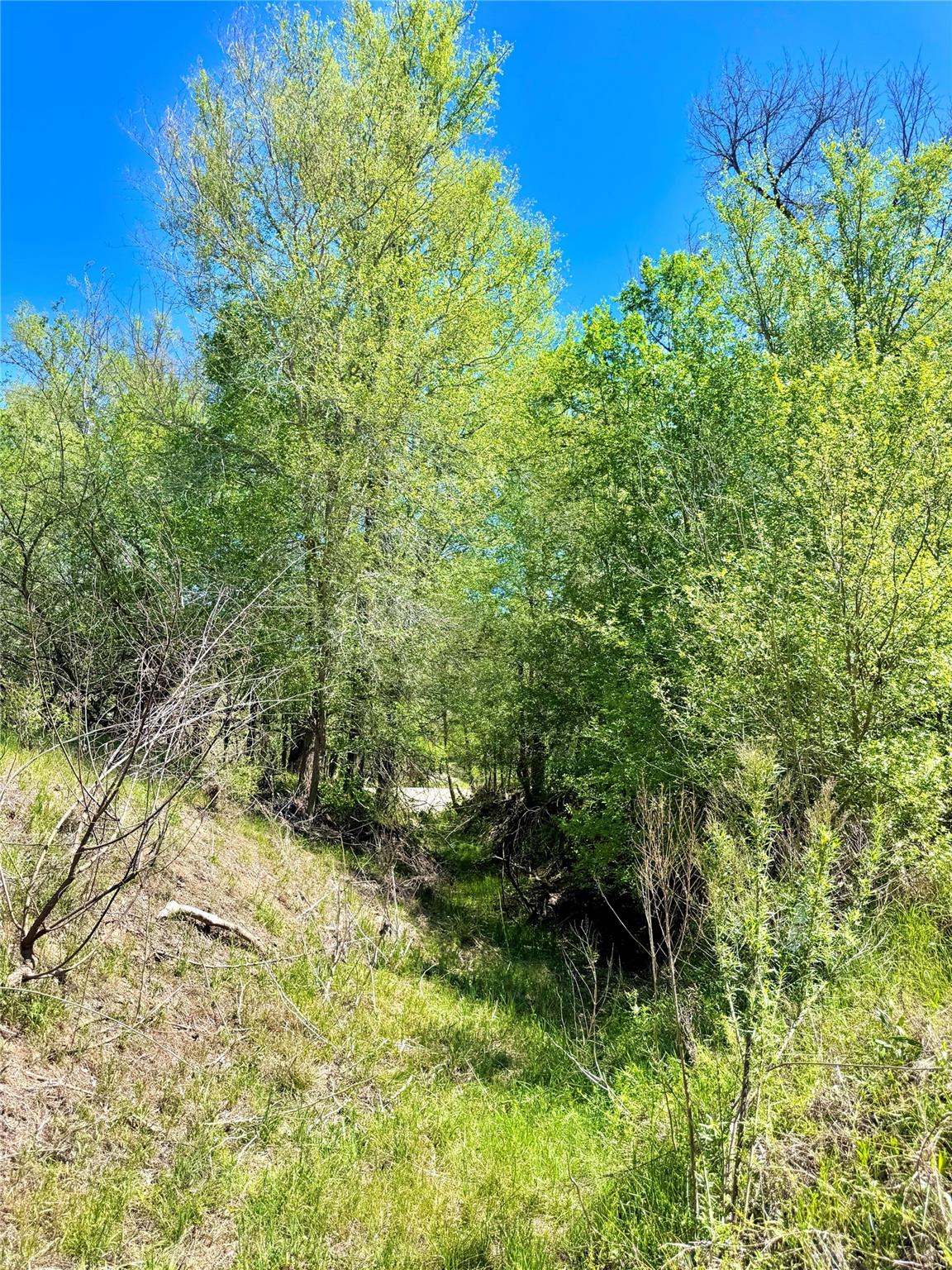 3775 Baker Rd, Kingsbury, TX 78638