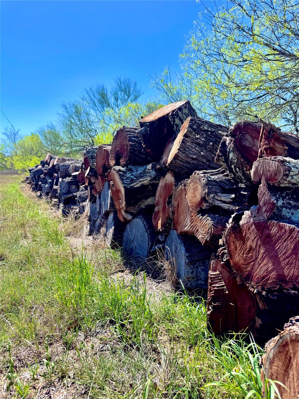 3775 Baker Rd, Kingsbury, TX 78638